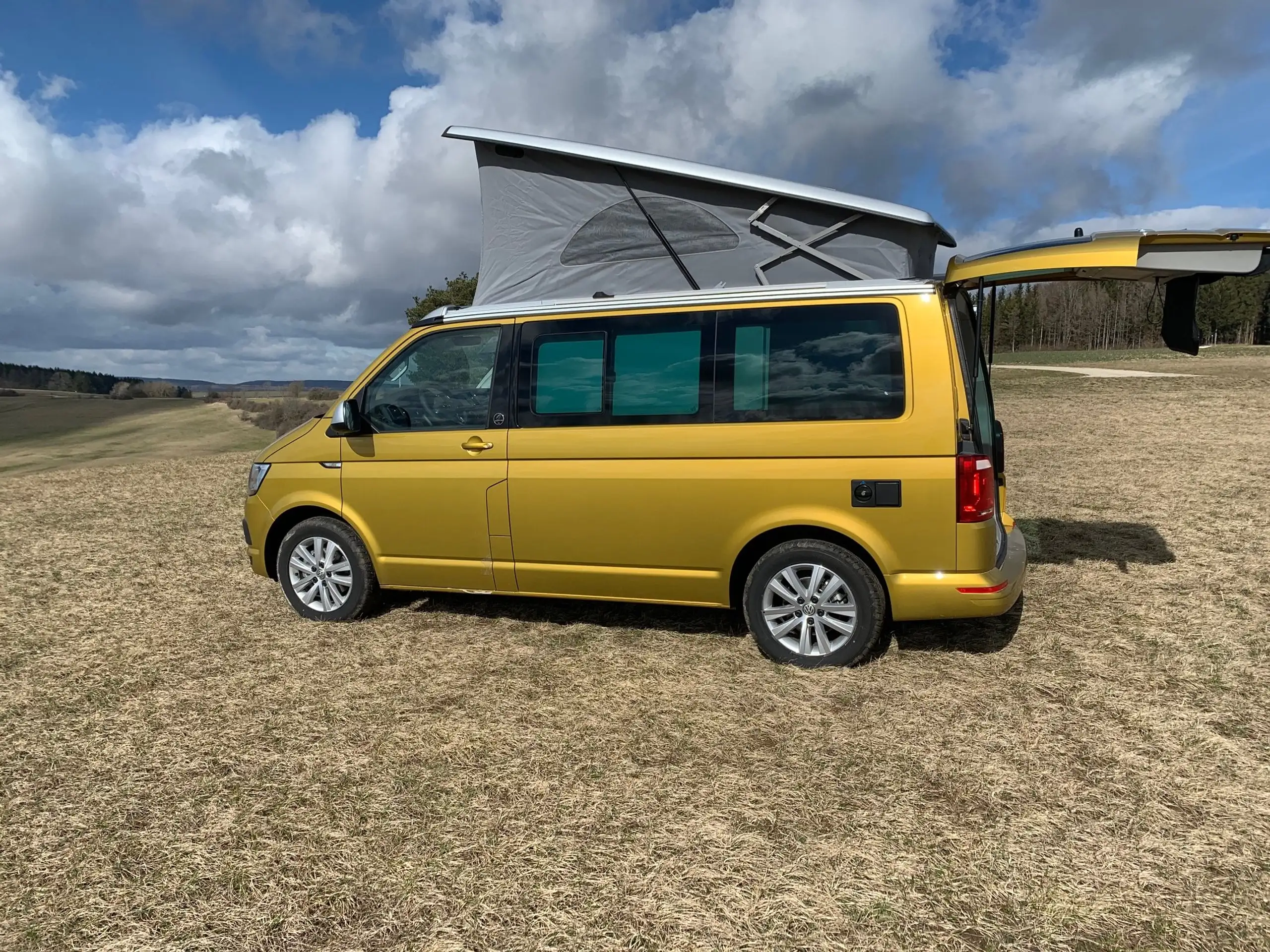 Volkswagen - T6 California