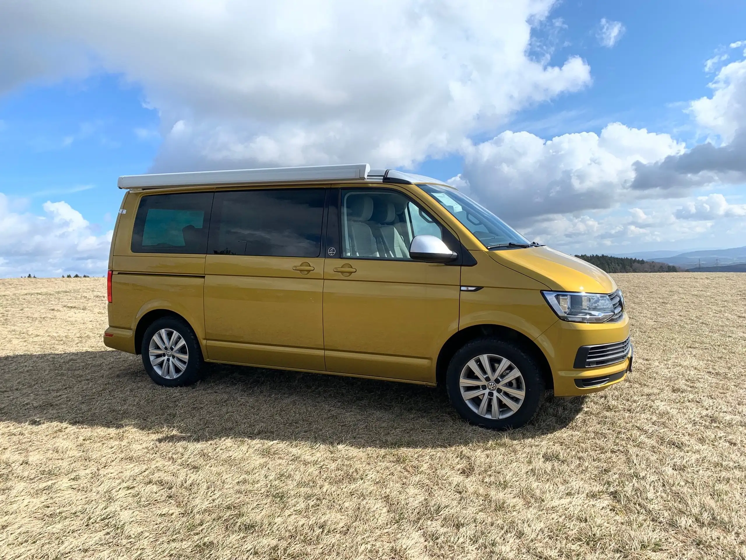 Volkswagen - T6 California