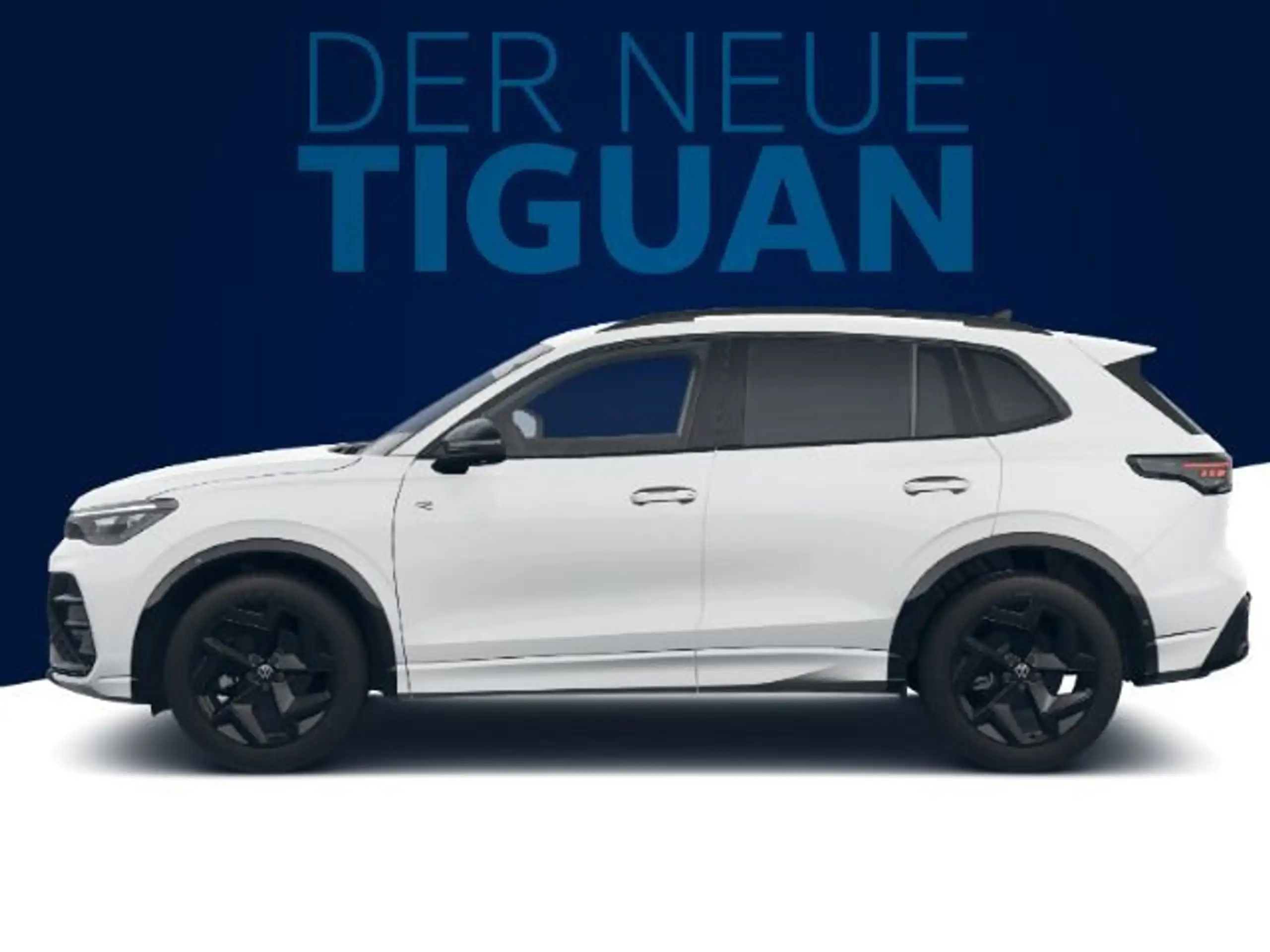 Volkswagen - Tiguan