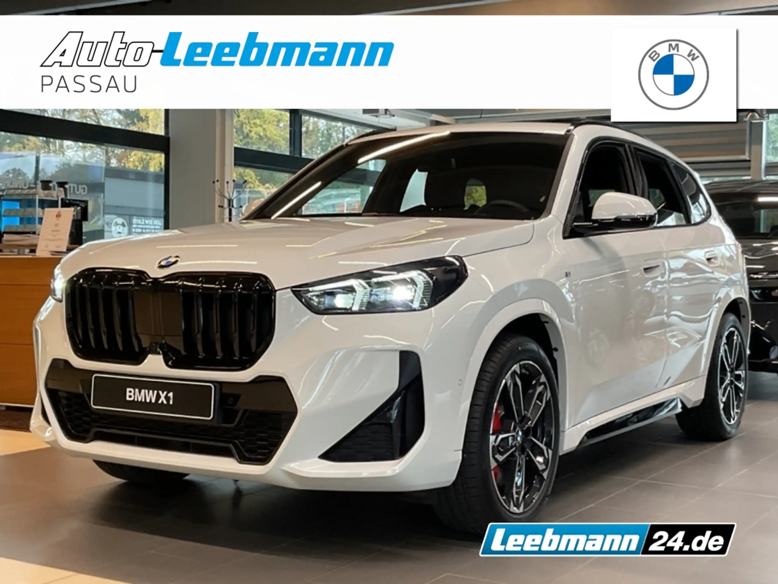 BMW - X1