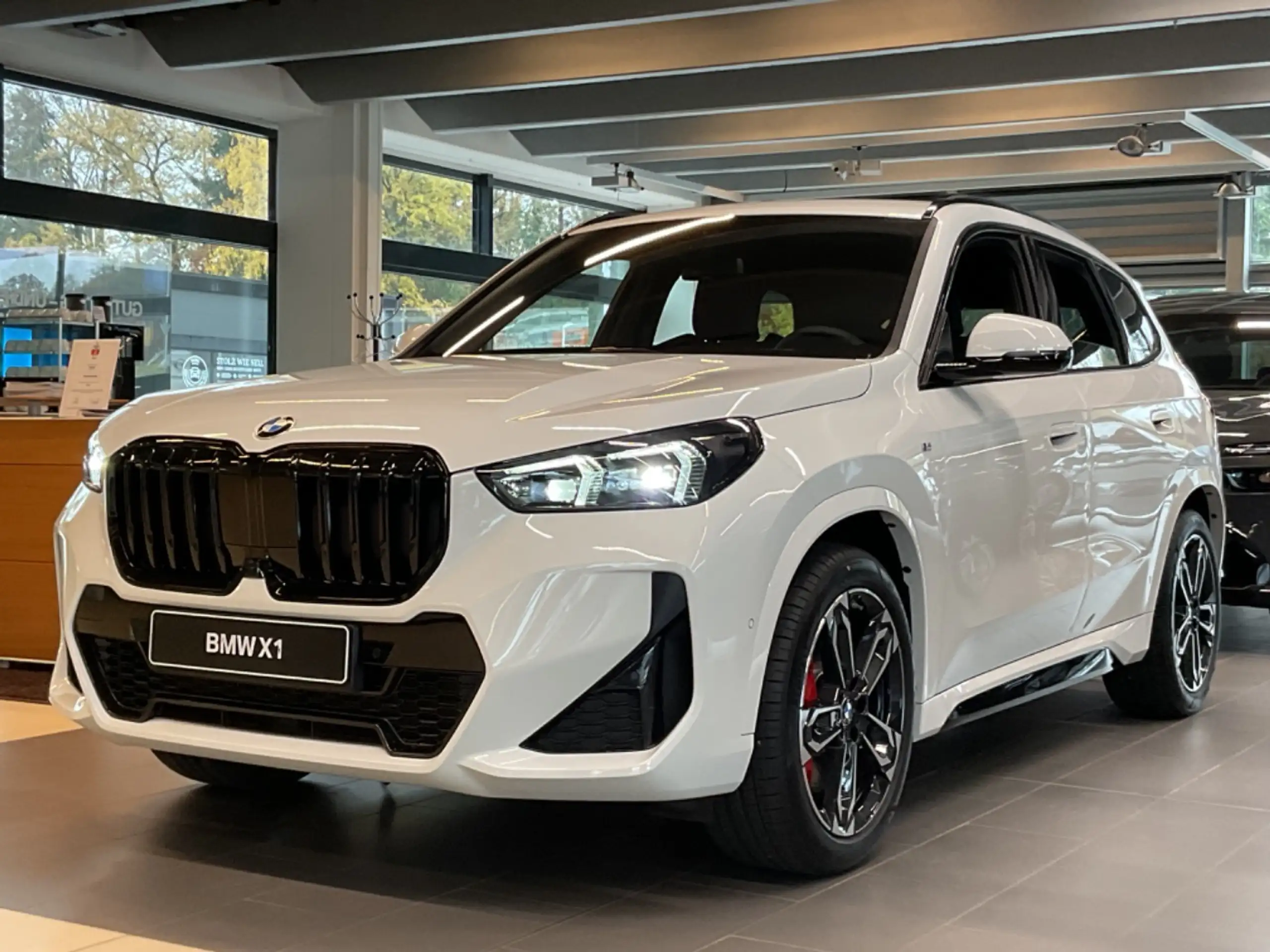 BMW - X1