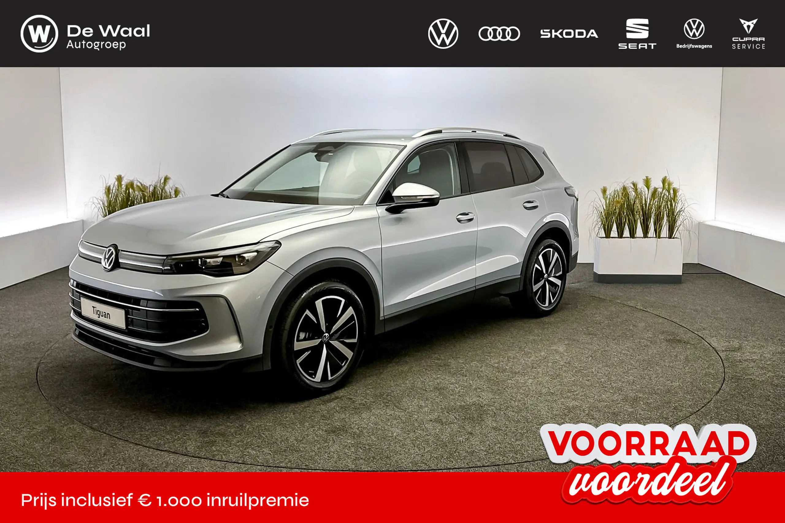 Volkswagen - Tiguan