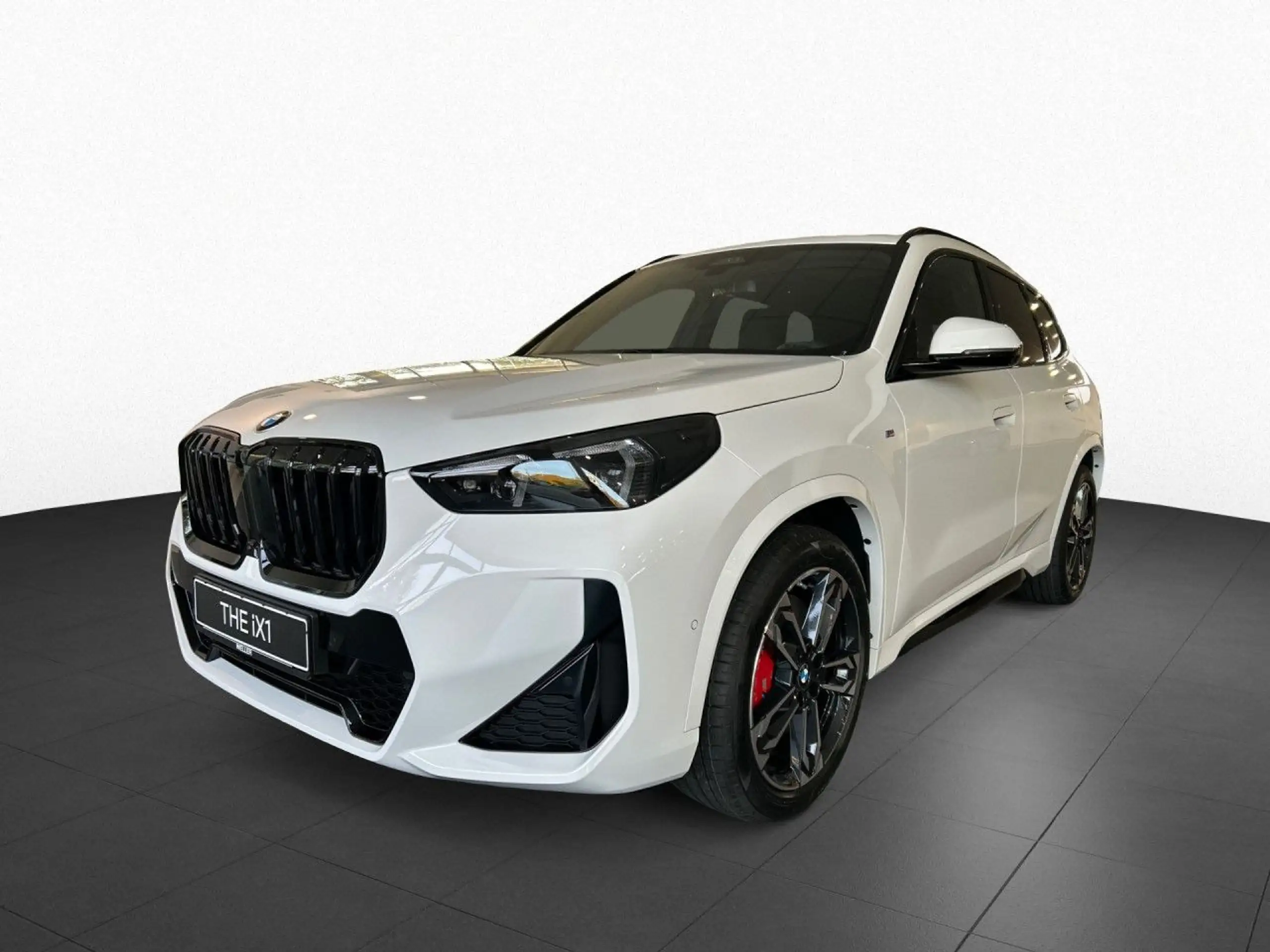 BMW - X1