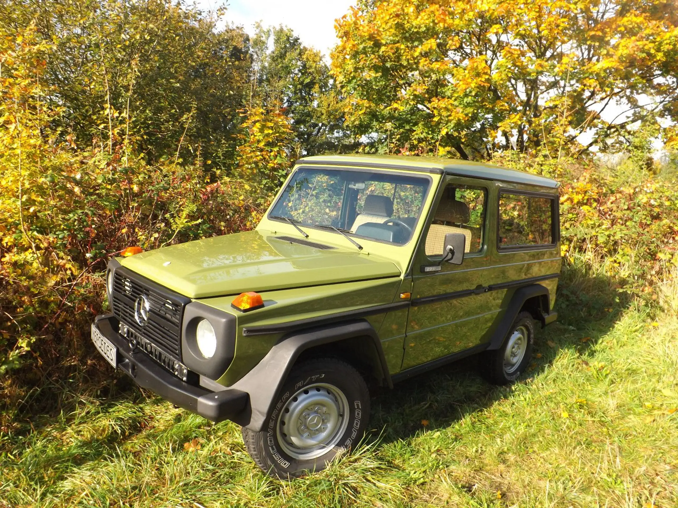 Mercedes-Benz - G 300