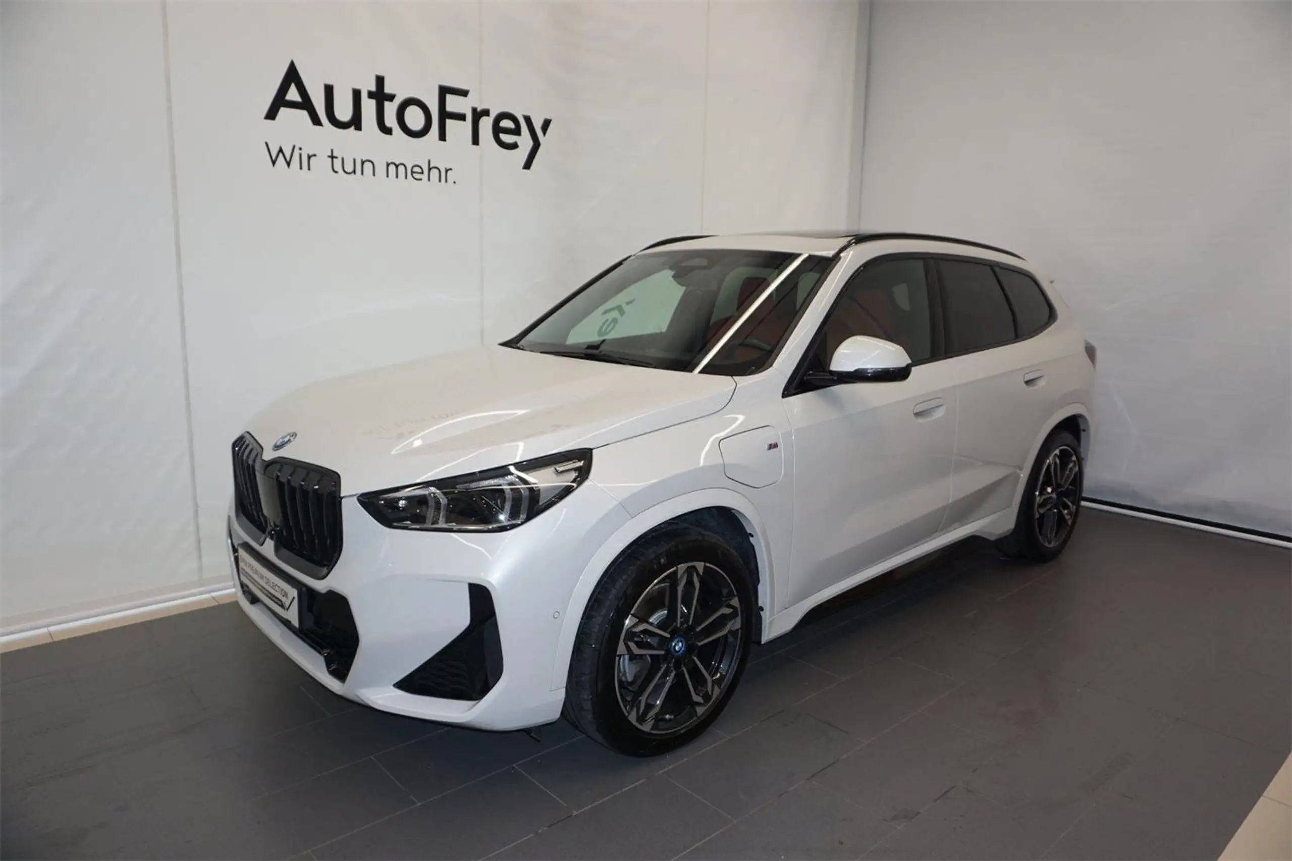 BMW - X1