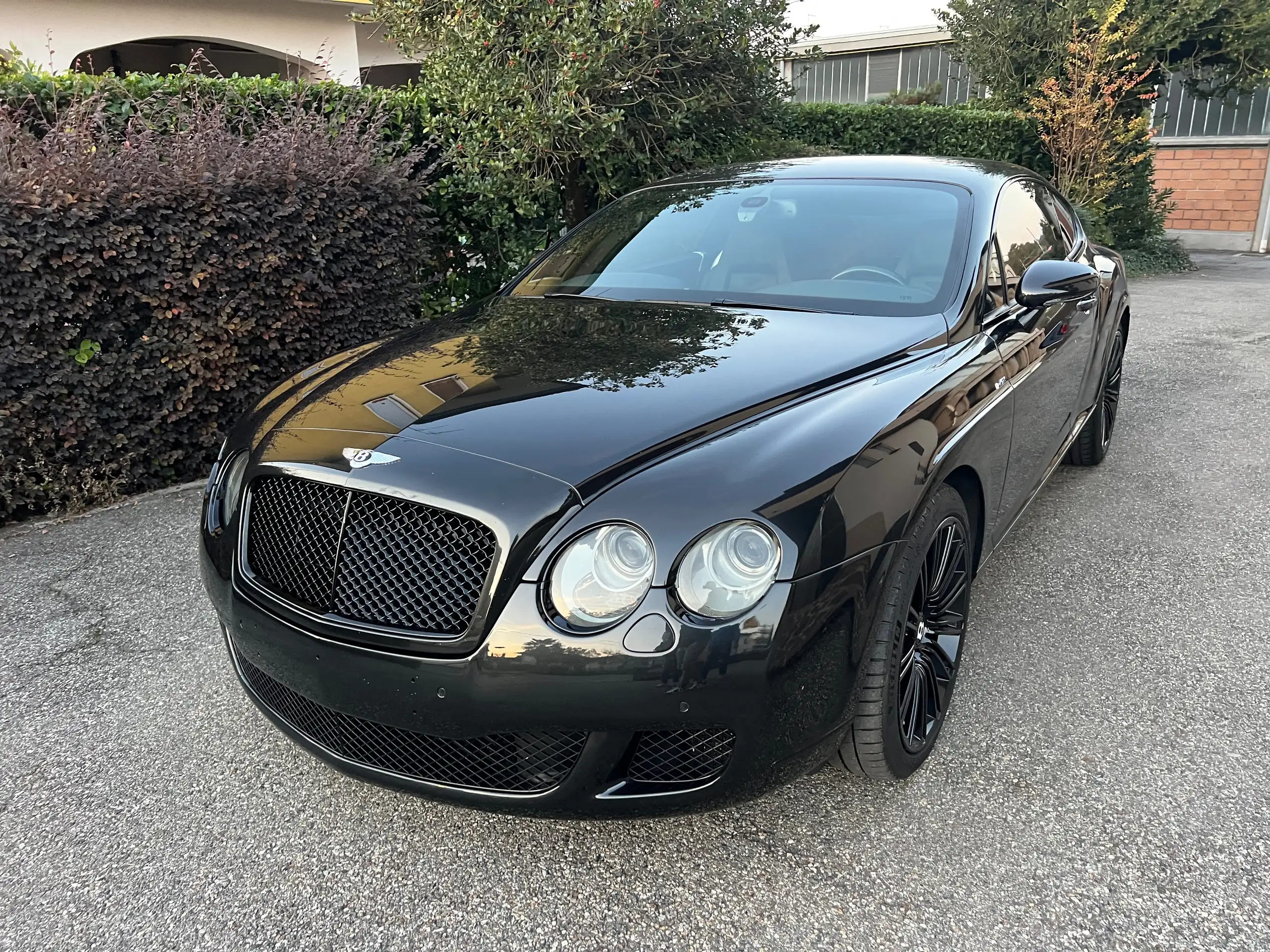 Bentley - Continental