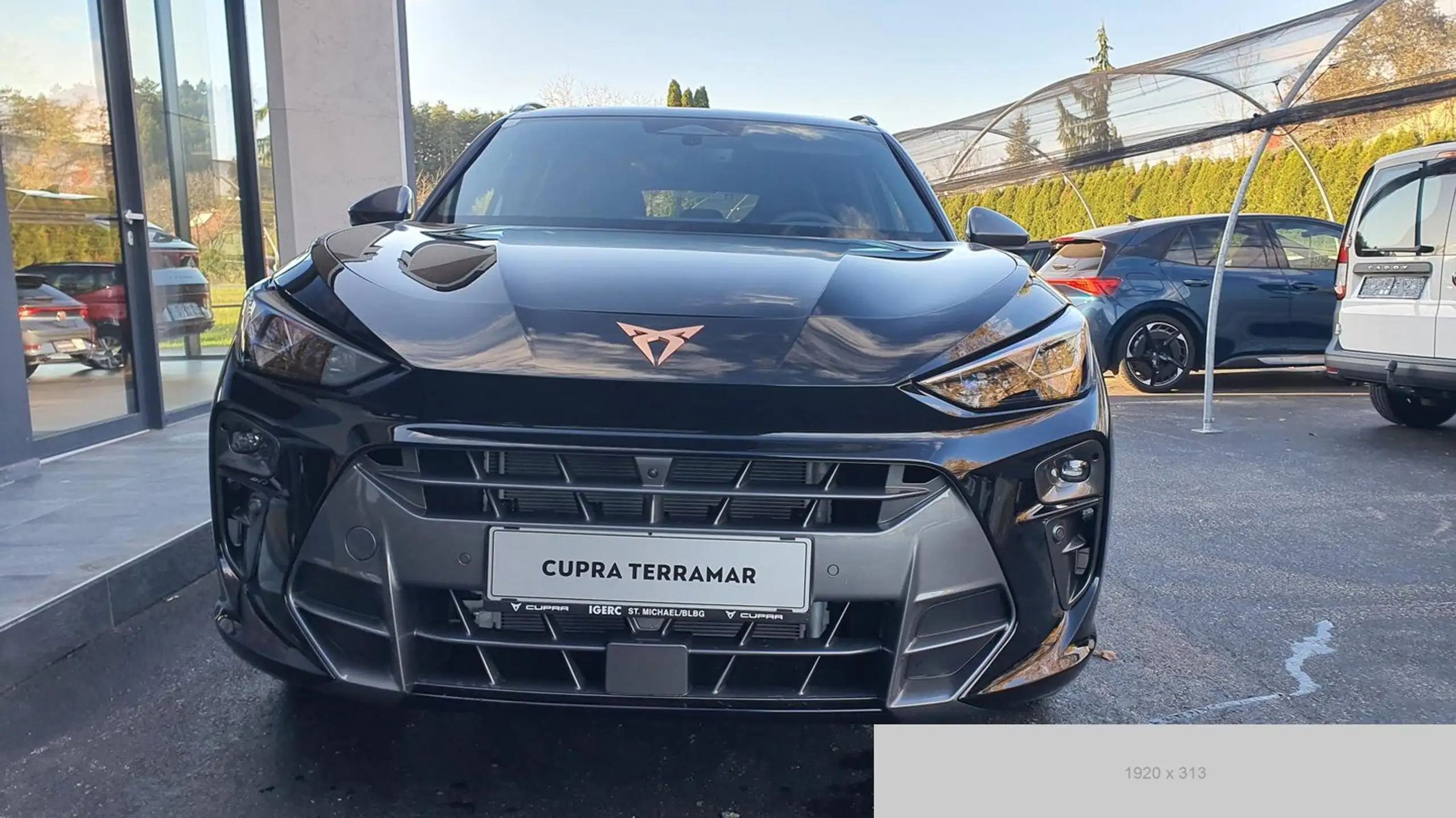 CUPRA - Terramar