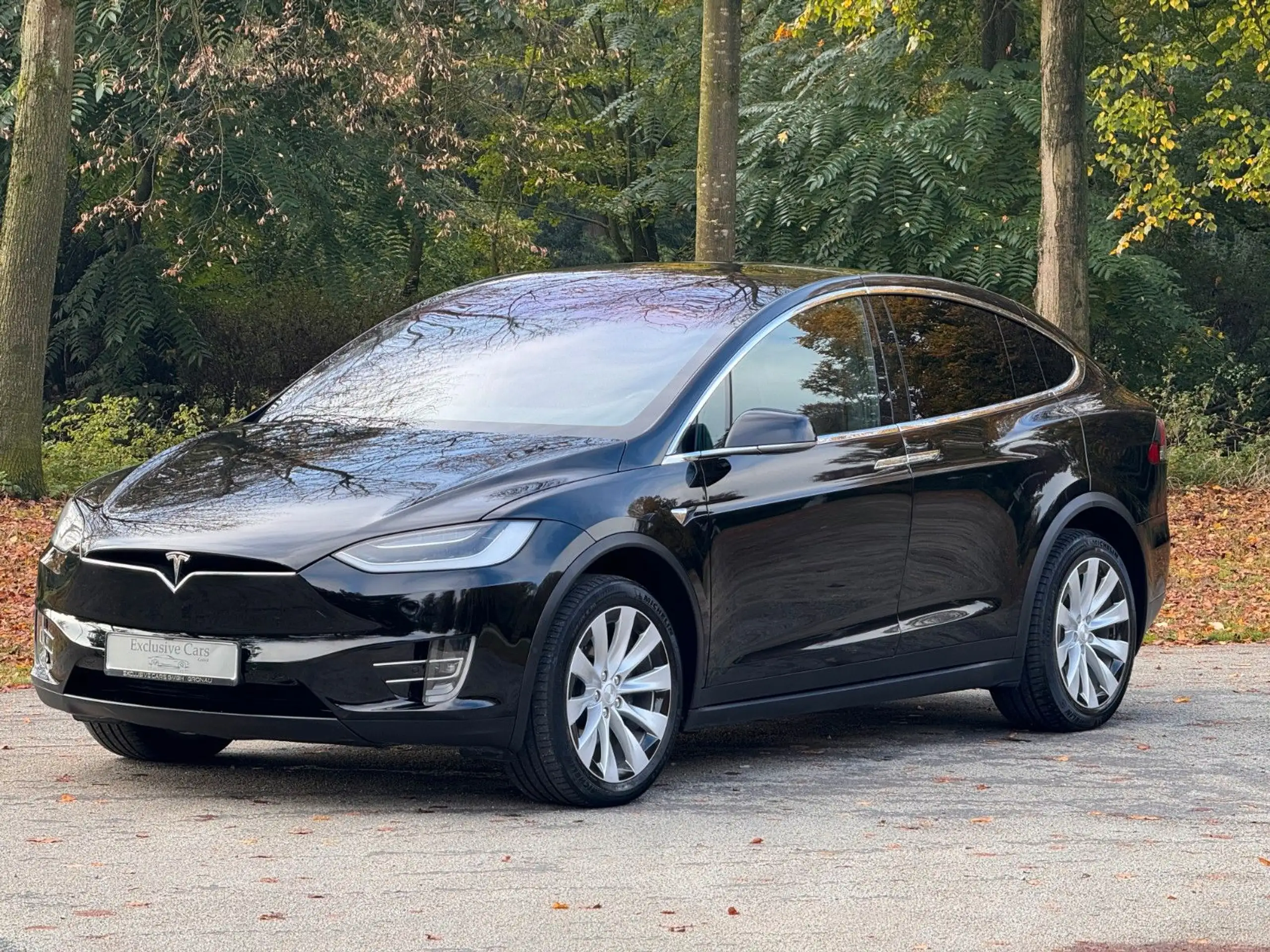 Tesla - Model X