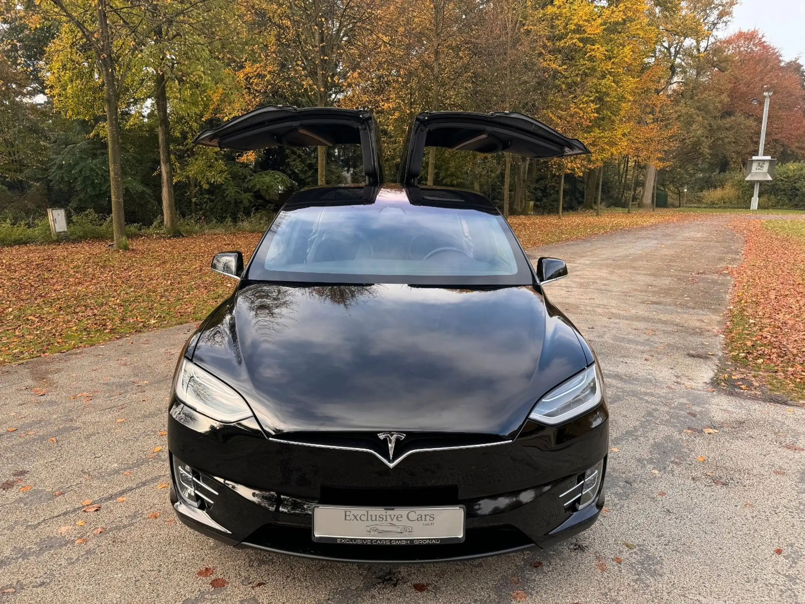 Tesla - Model X