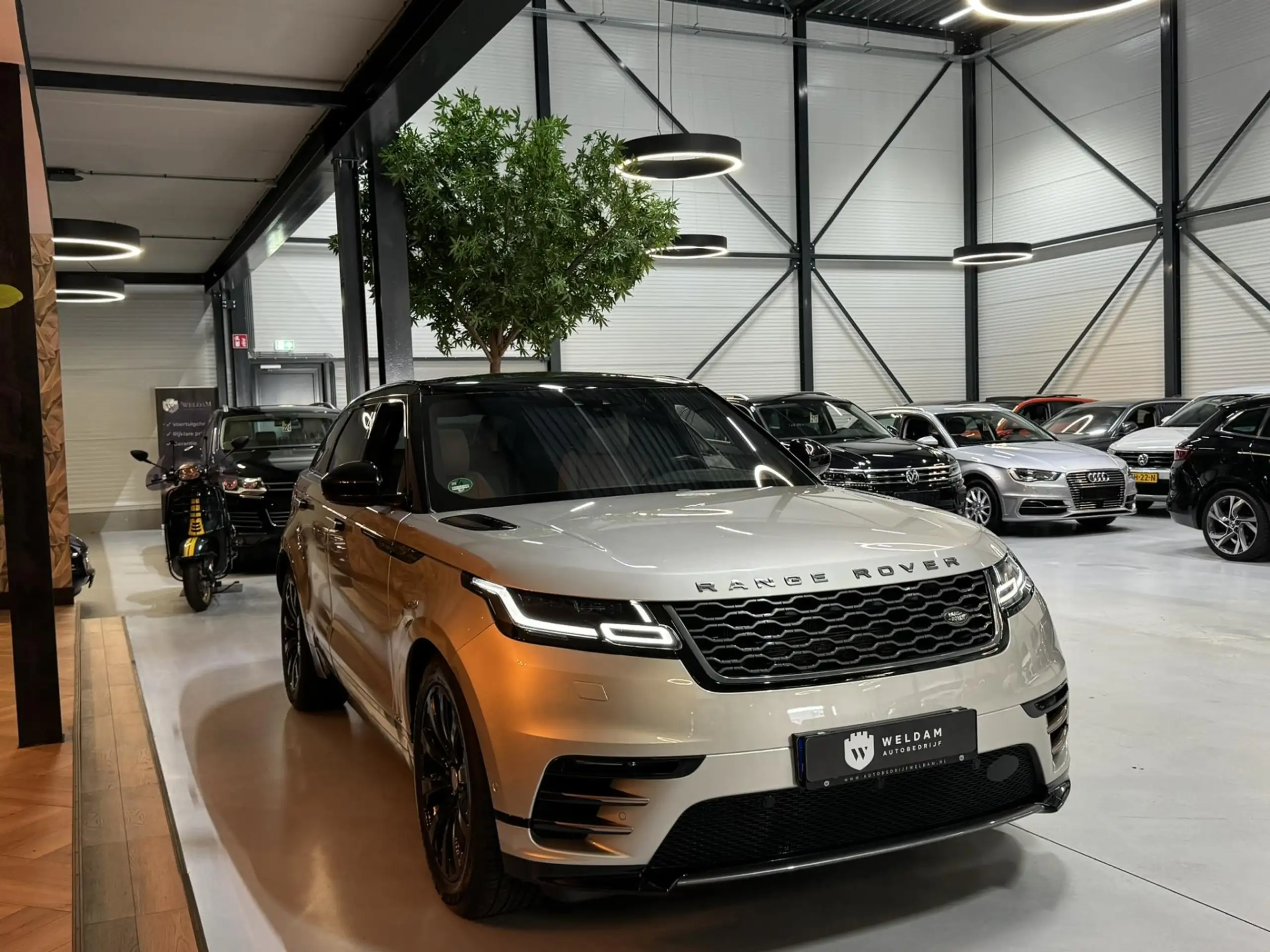 Land Rover - Range Rover Velar