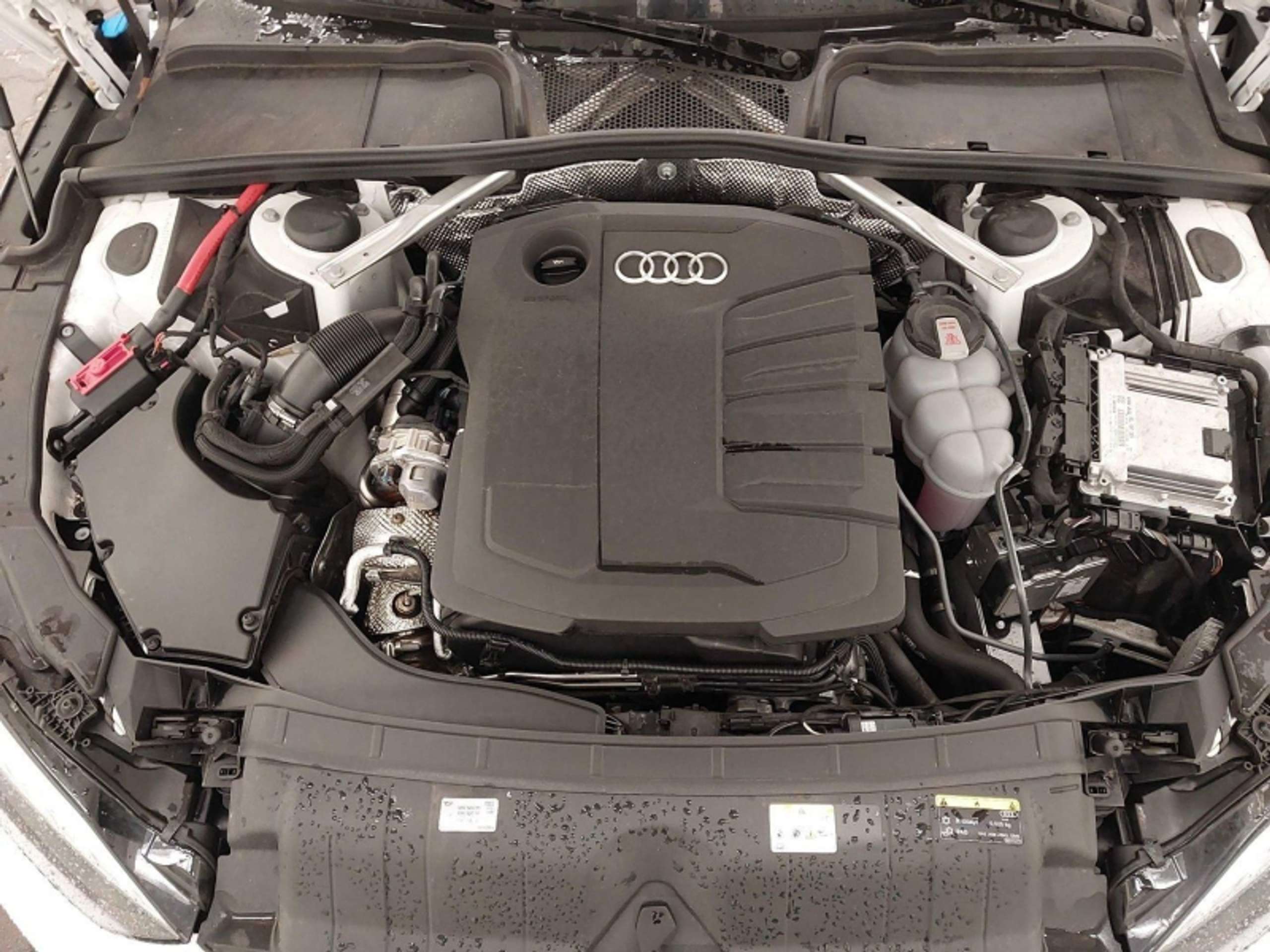 Audi - A5