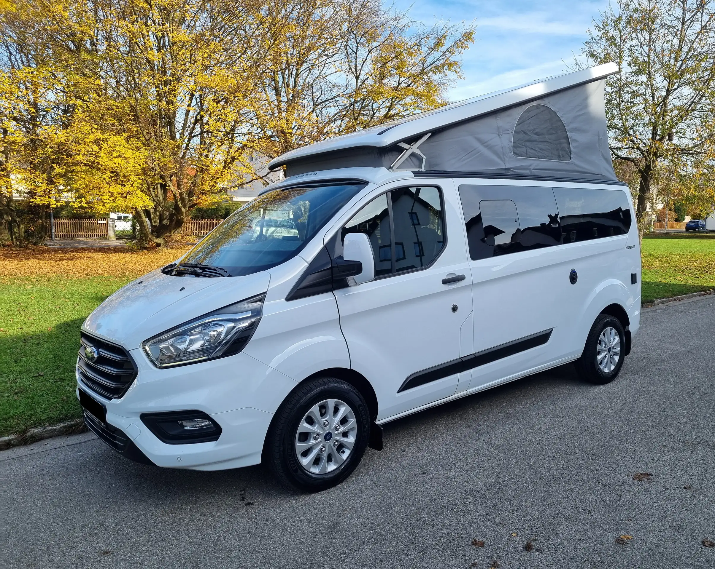 Ford - Transit Custom