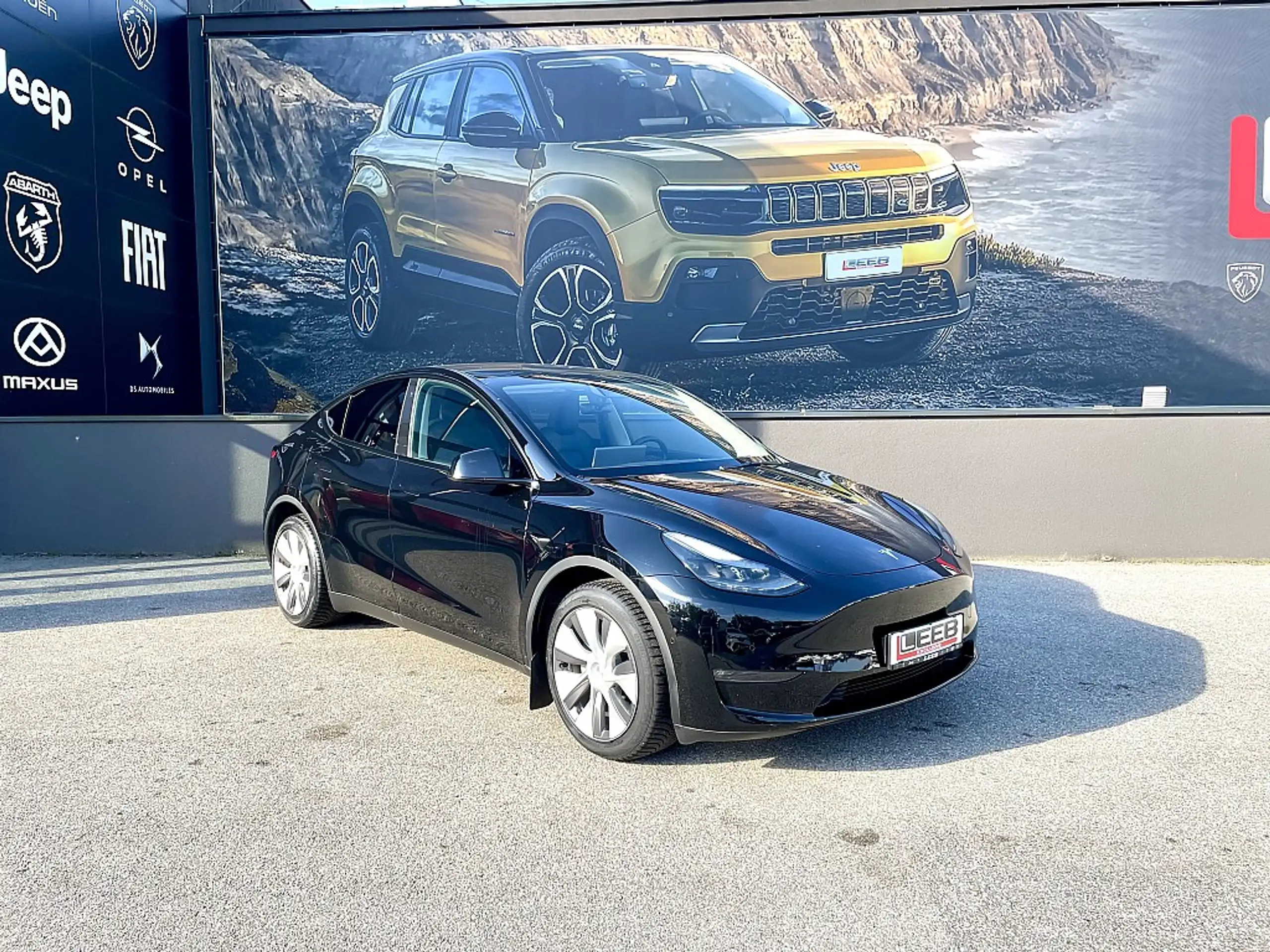 Tesla - Model Y