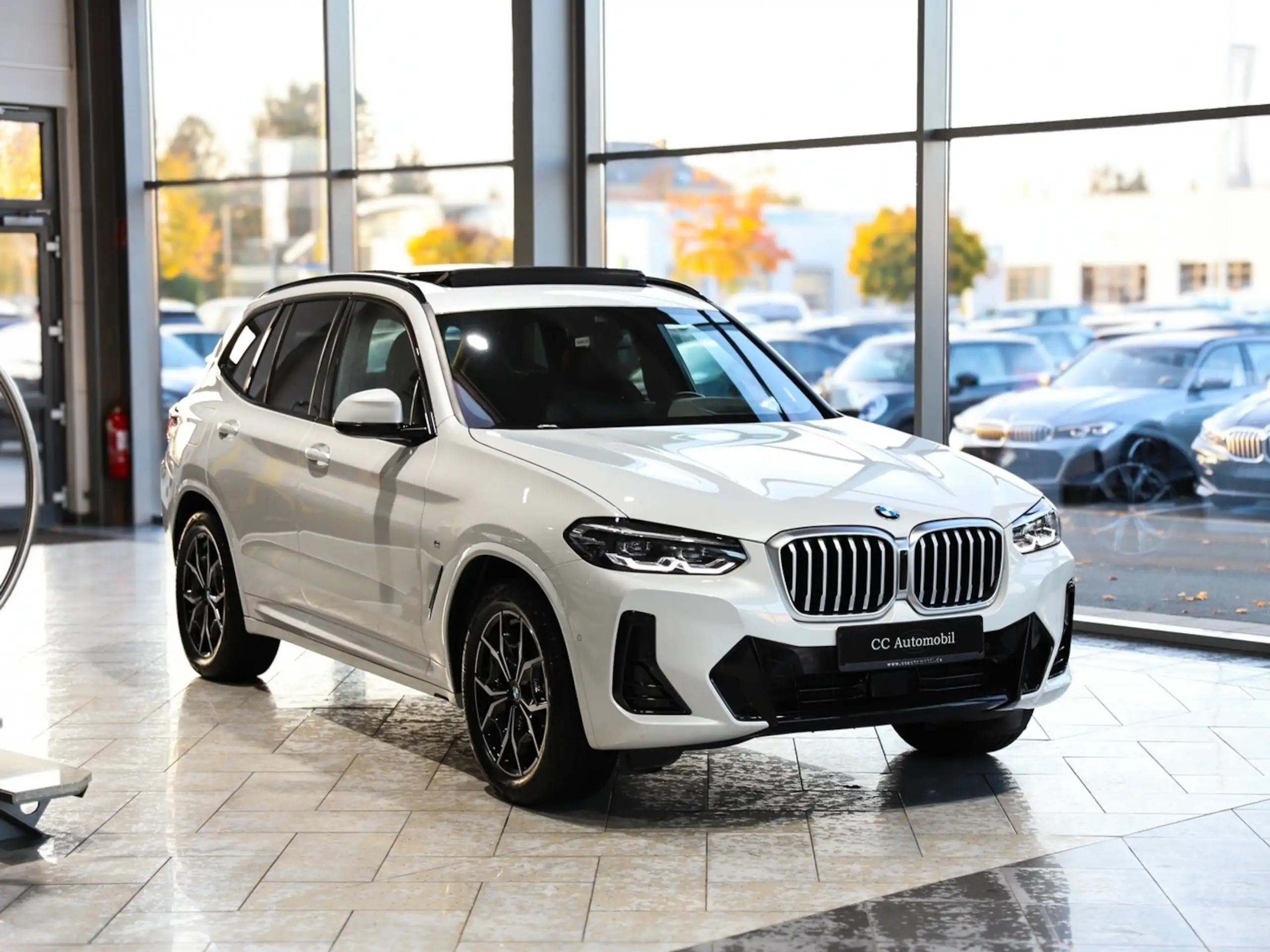 BMW - X3