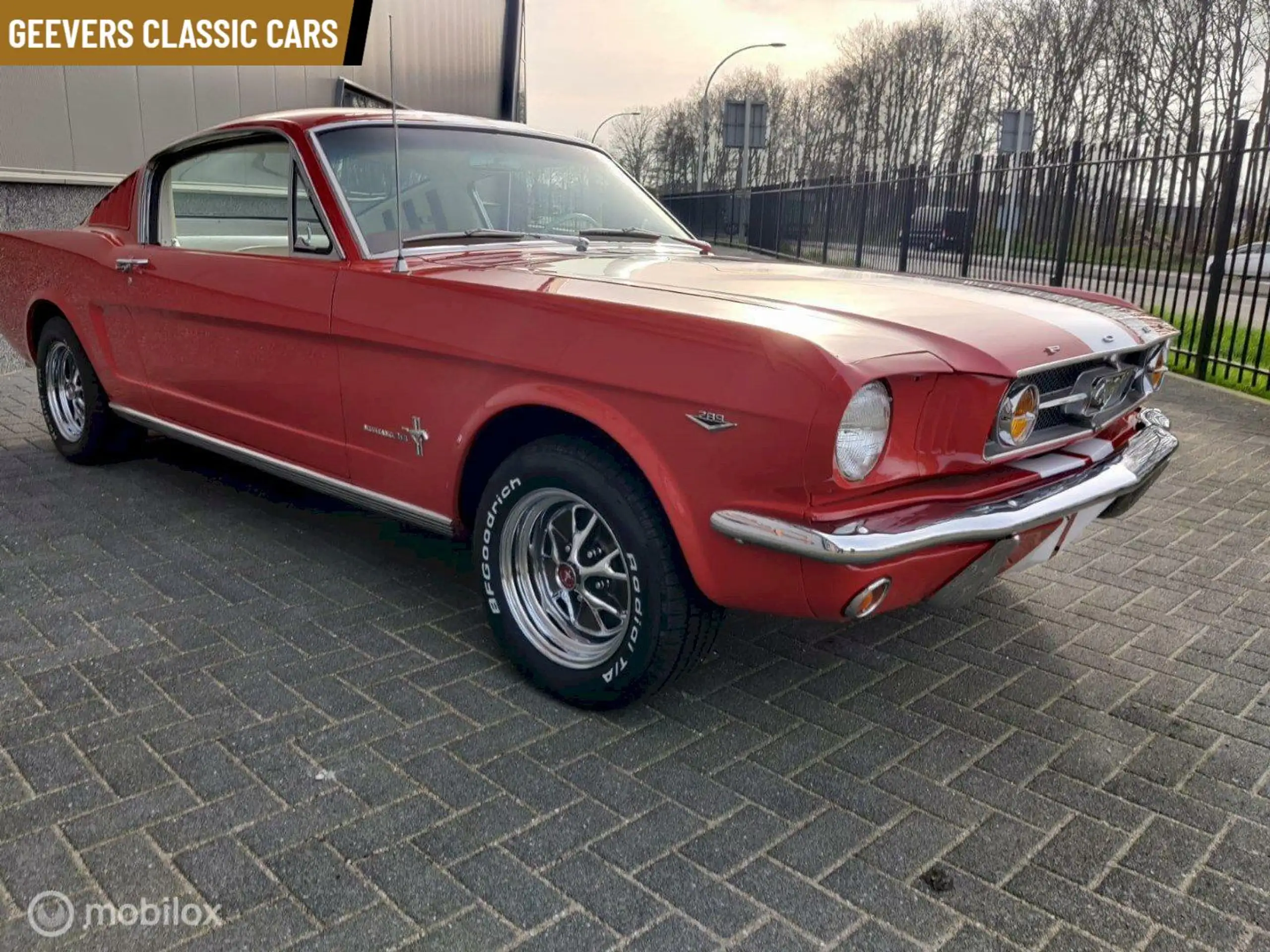 Ford - Mustang