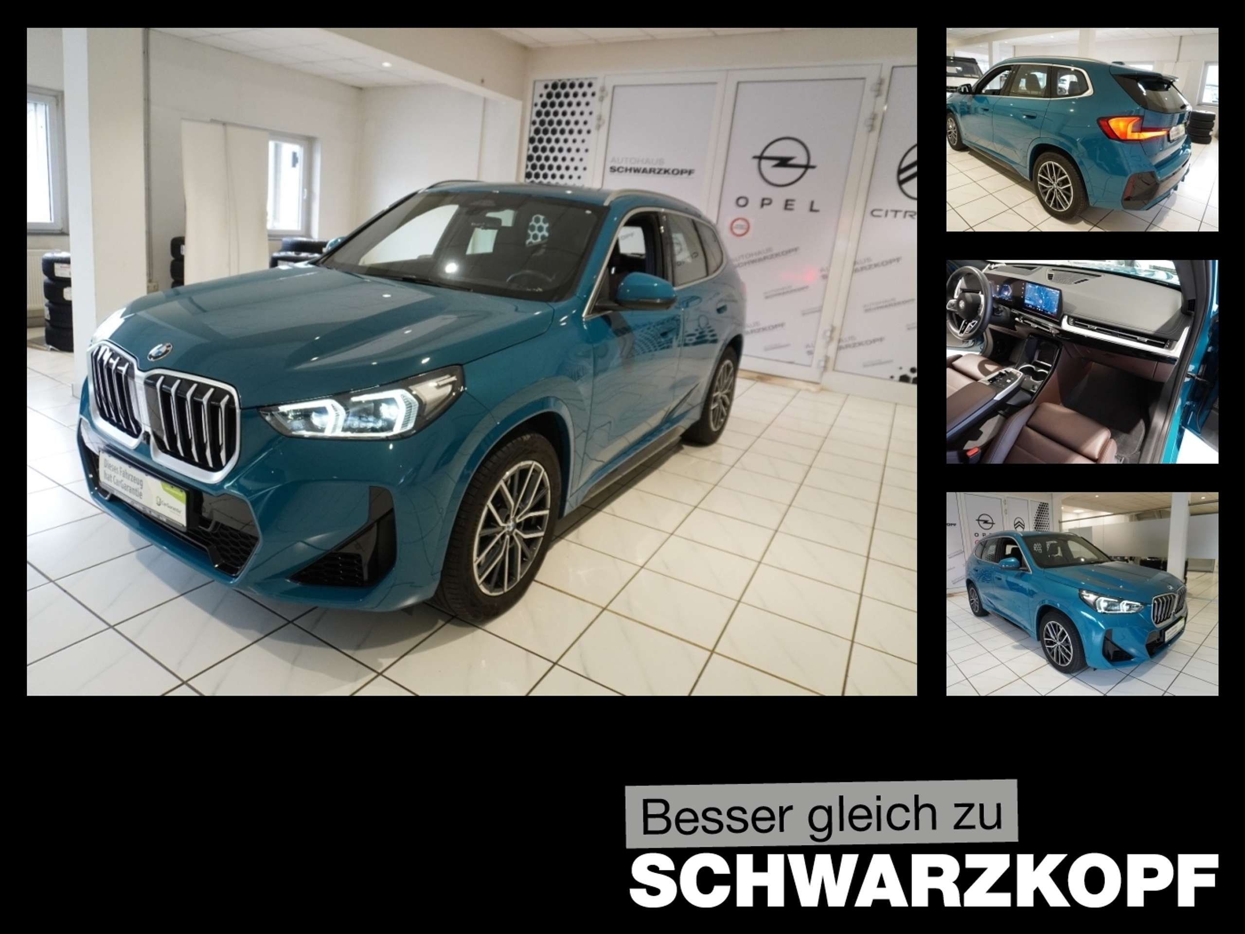 BMW - X1