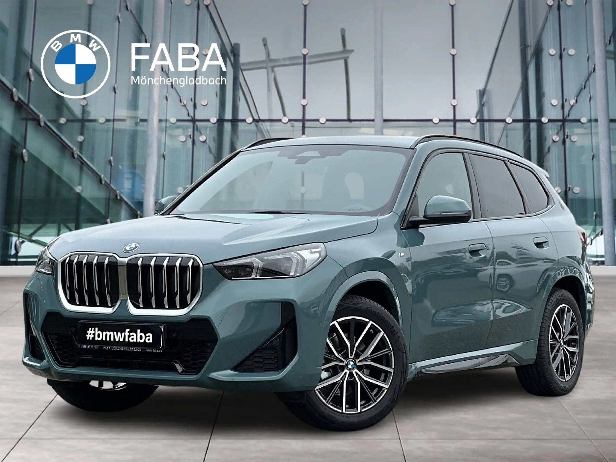 BMW - X1