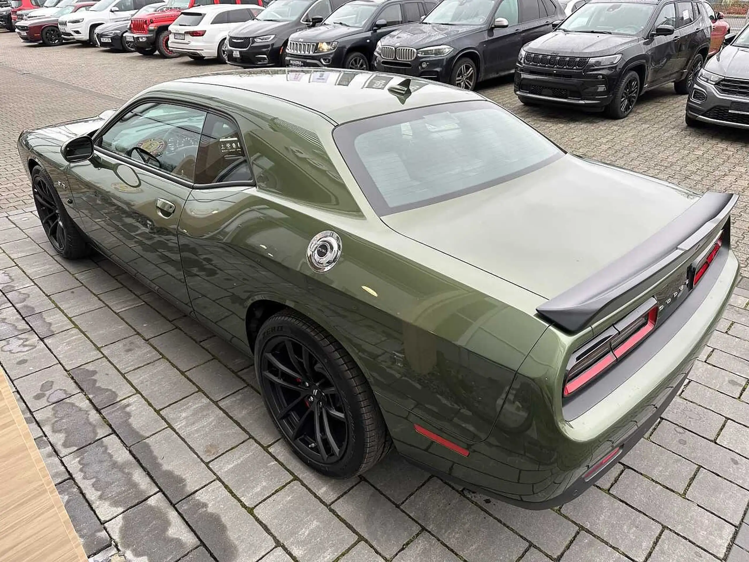 Dodge - Challenger