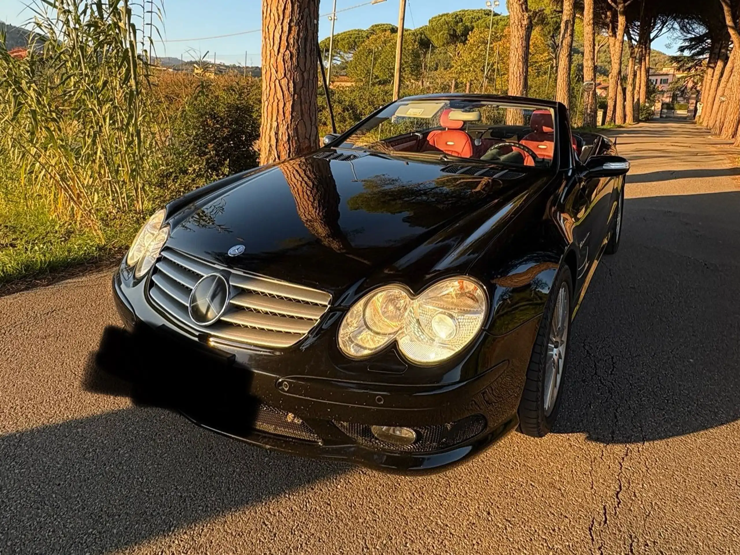 Mercedes-Benz - SL 55 AMG