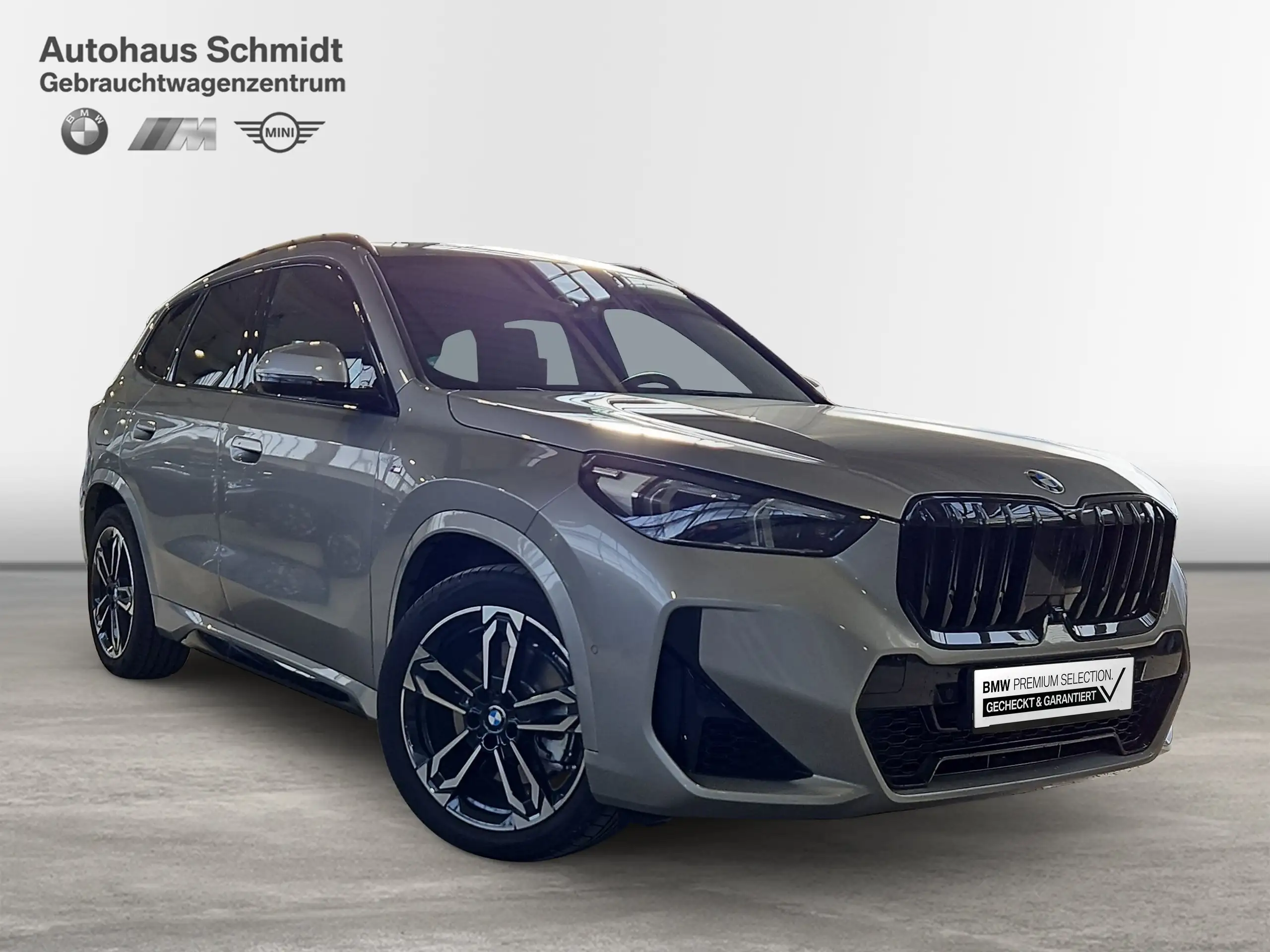 BMW - X1