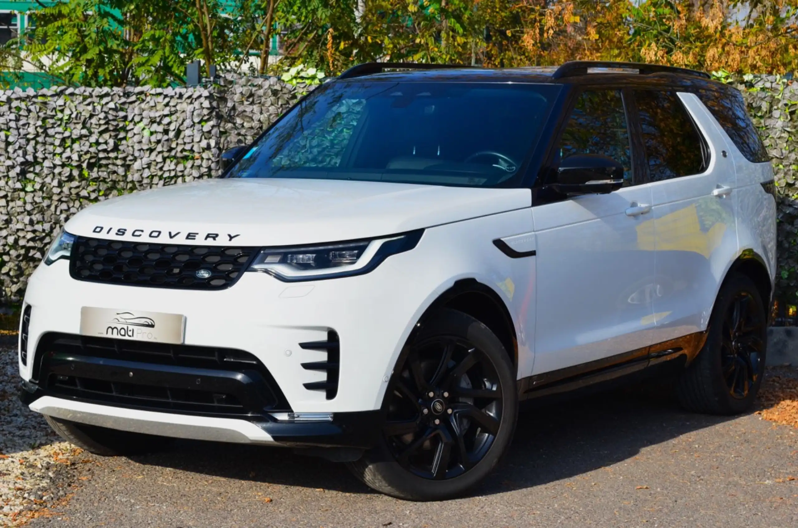 Land Rover - Discovery