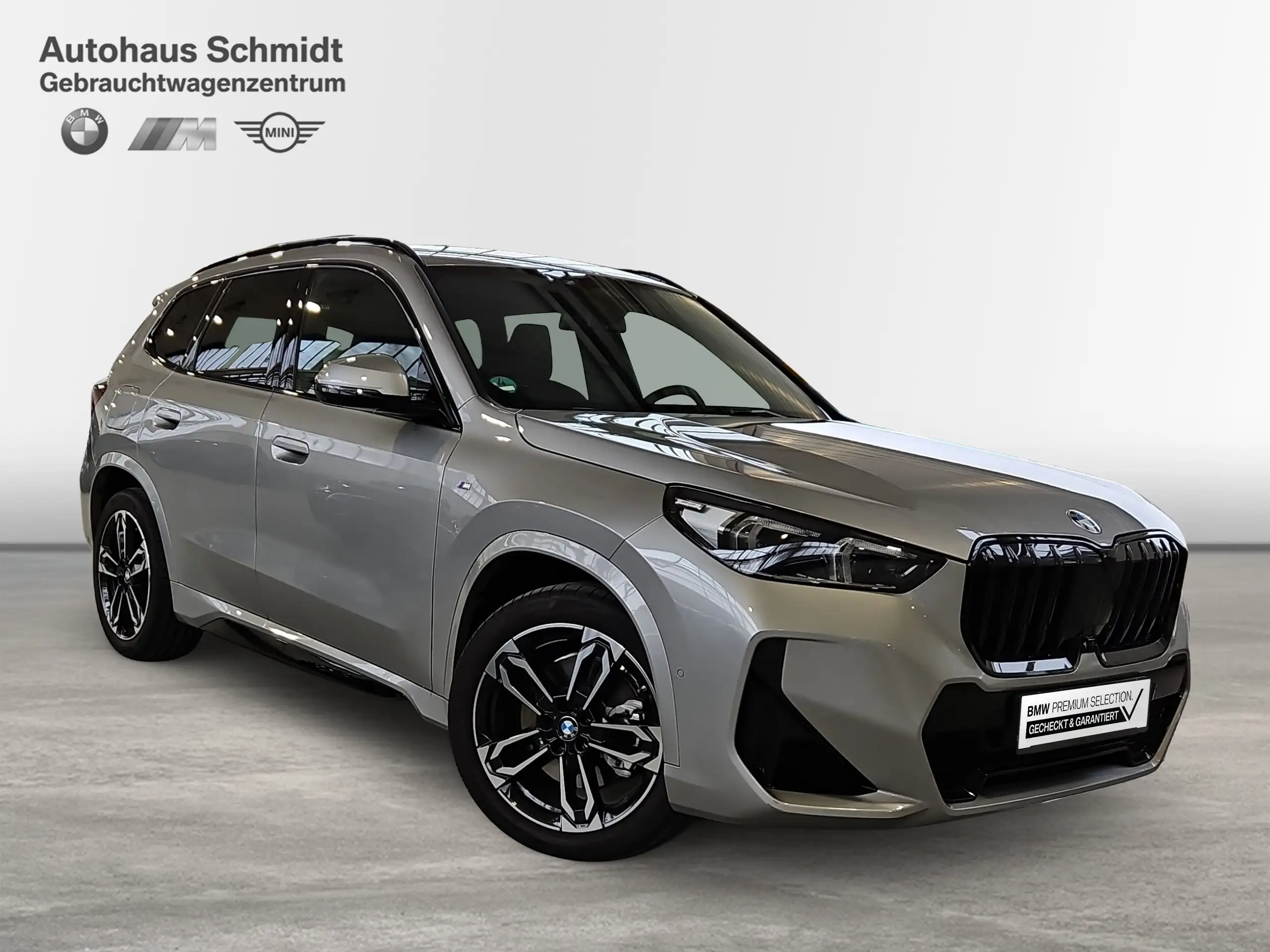 BMW - X1