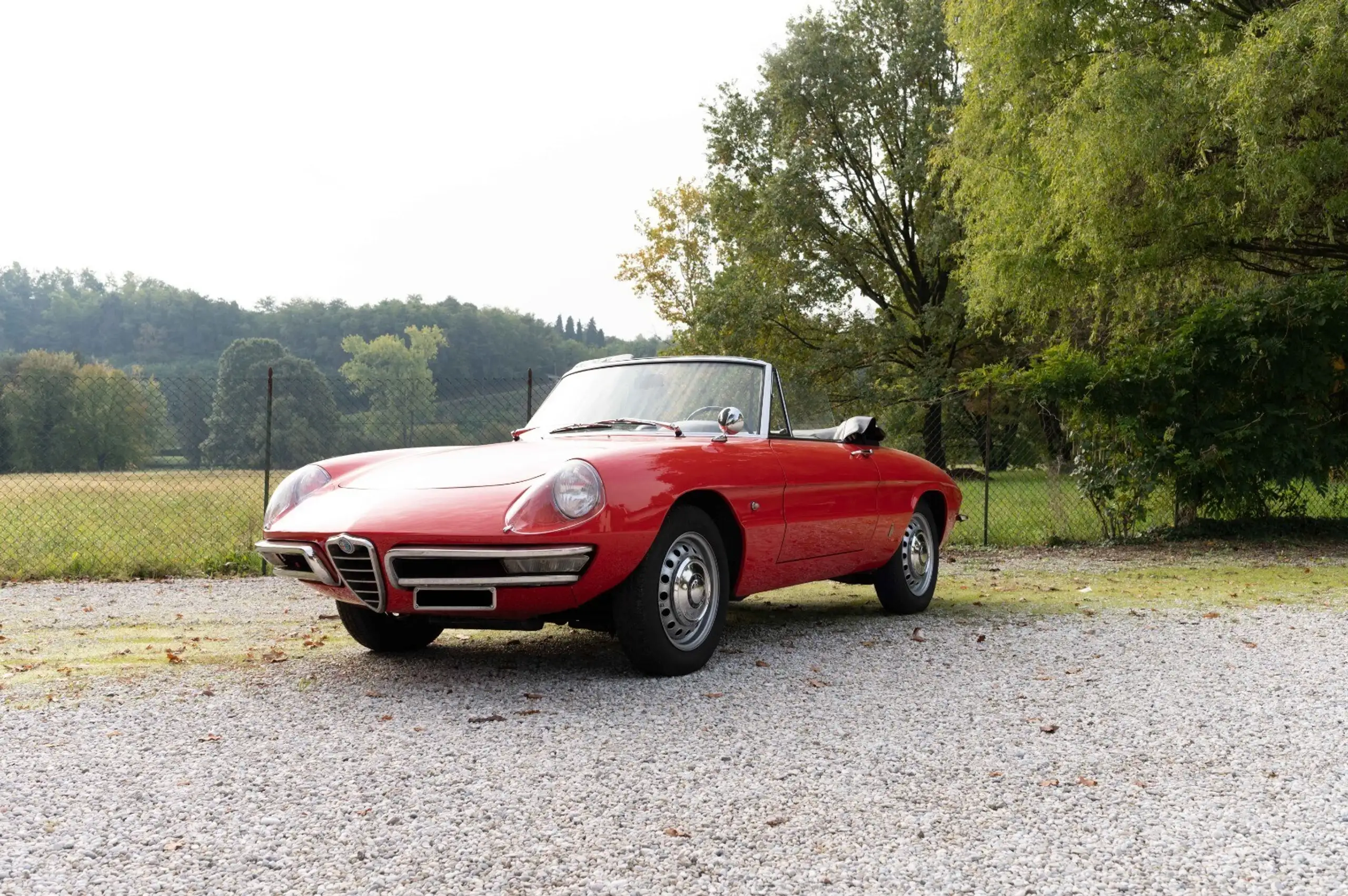 Alfa Romeo - Spider