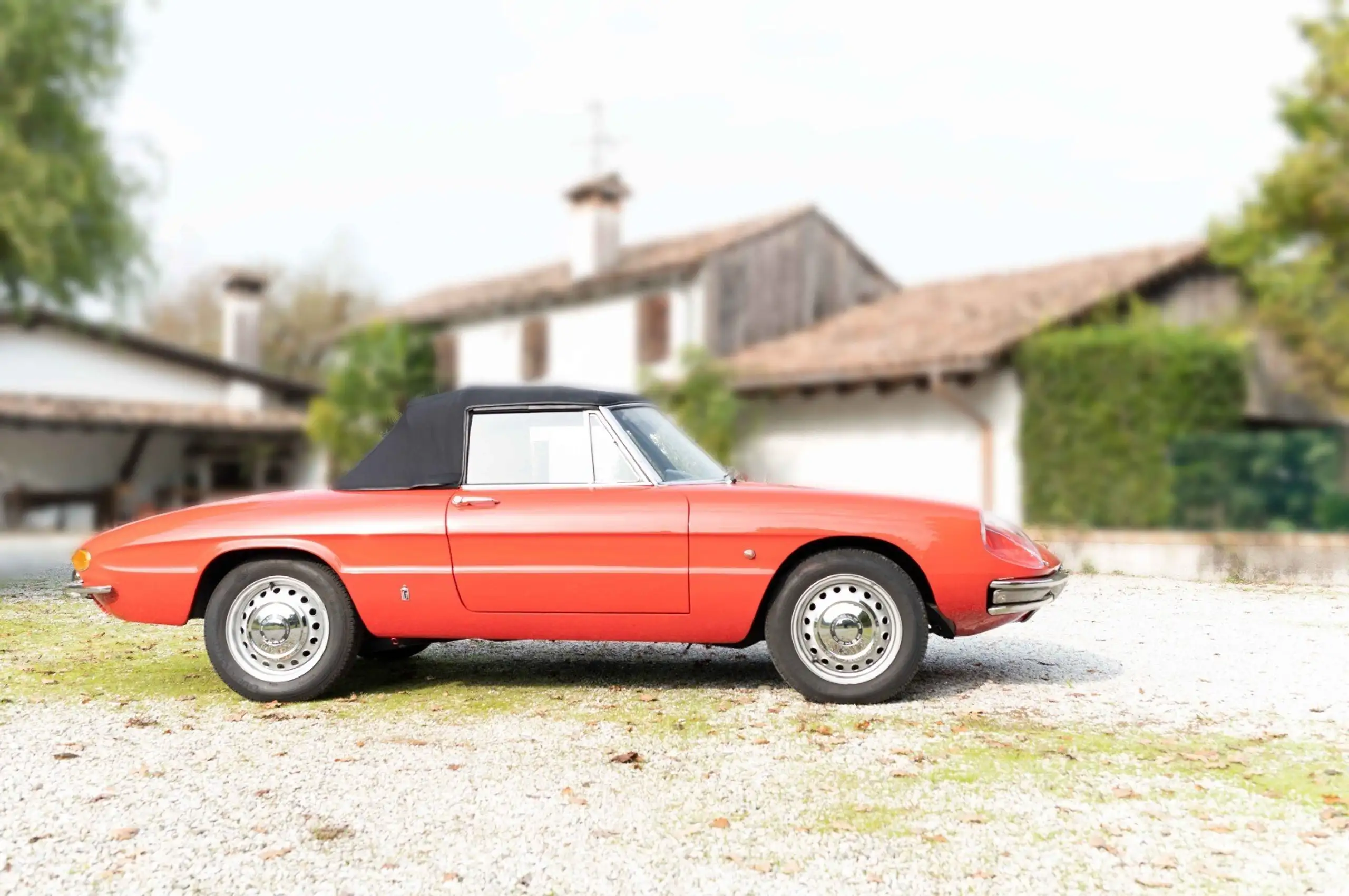 Alfa Romeo - Spider