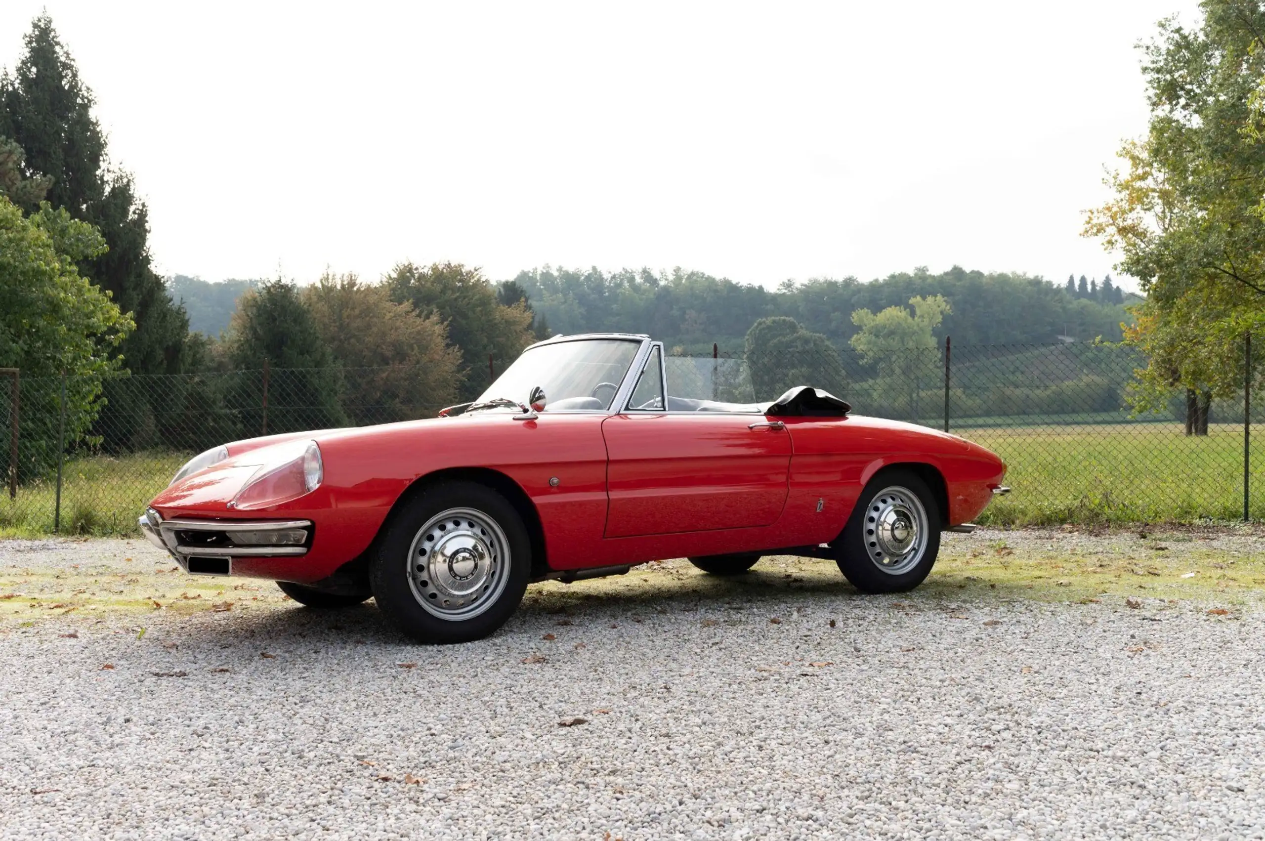 Alfa Romeo - Spider