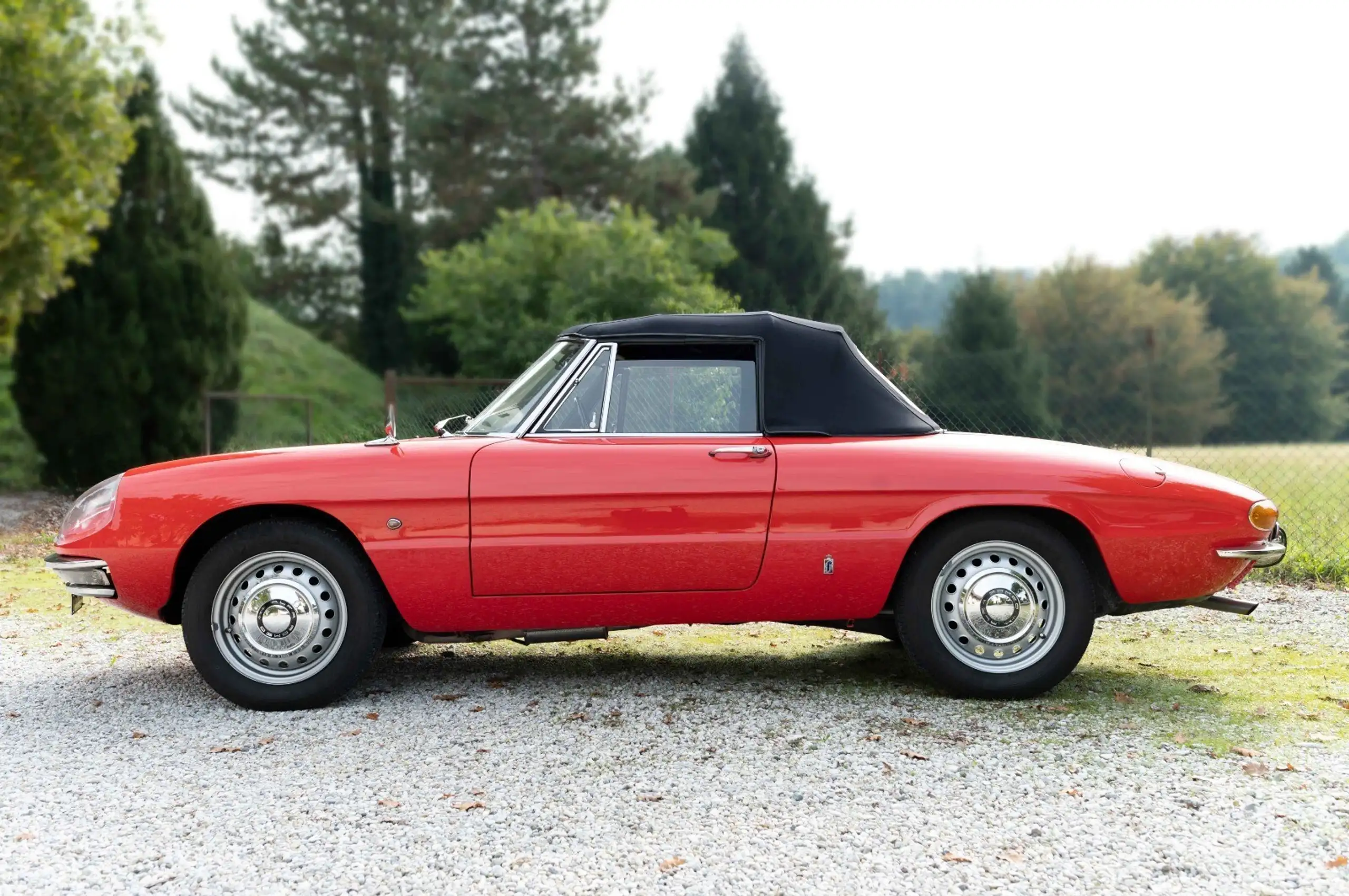 Alfa Romeo - Spider