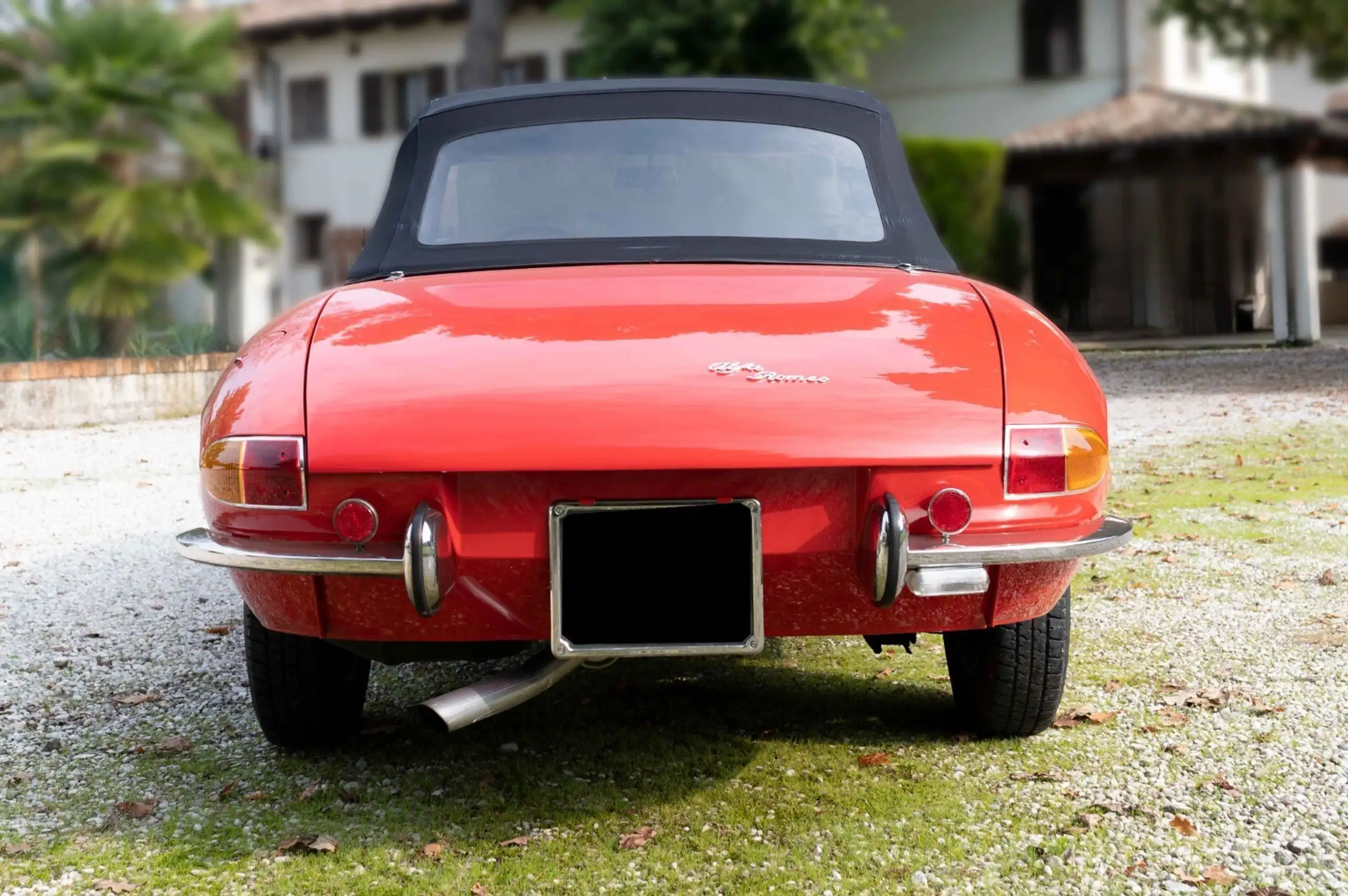 Alfa Romeo - Spider