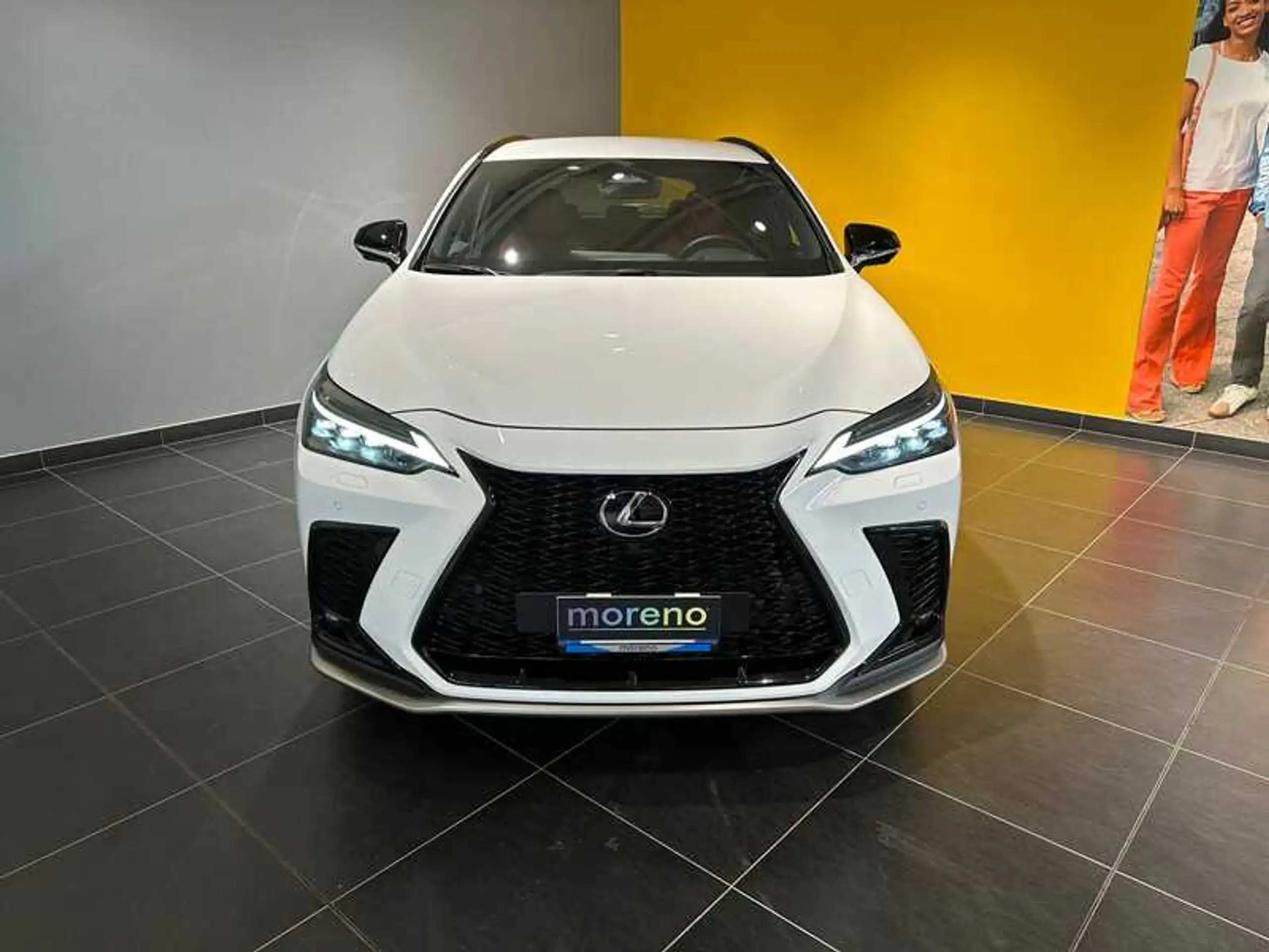 Lexus - NX 300h