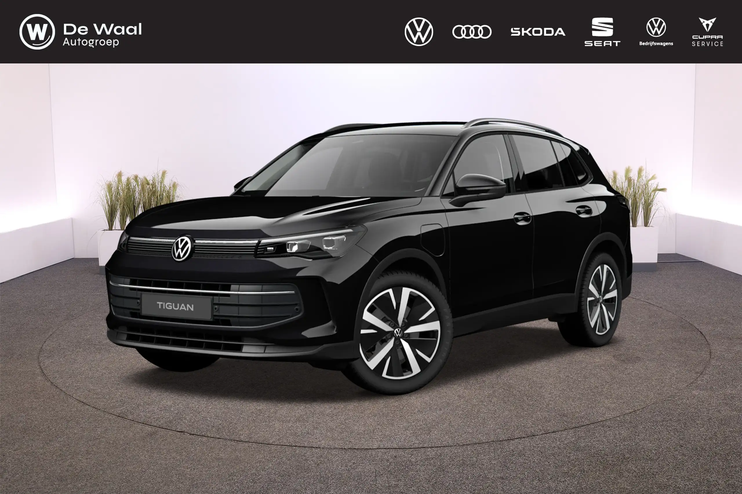 Volkswagen - Tiguan