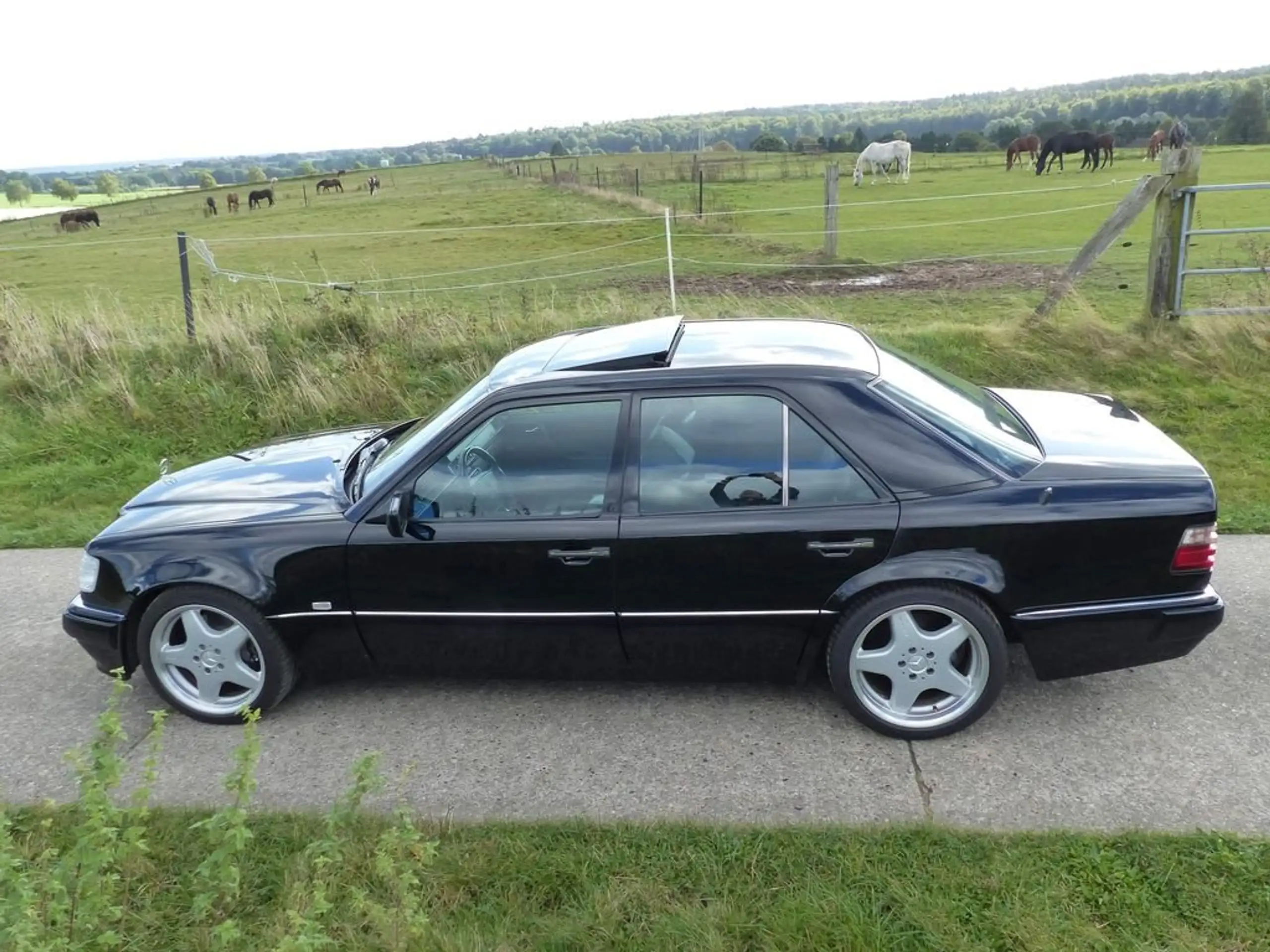 Mercedes-Benz - E 500