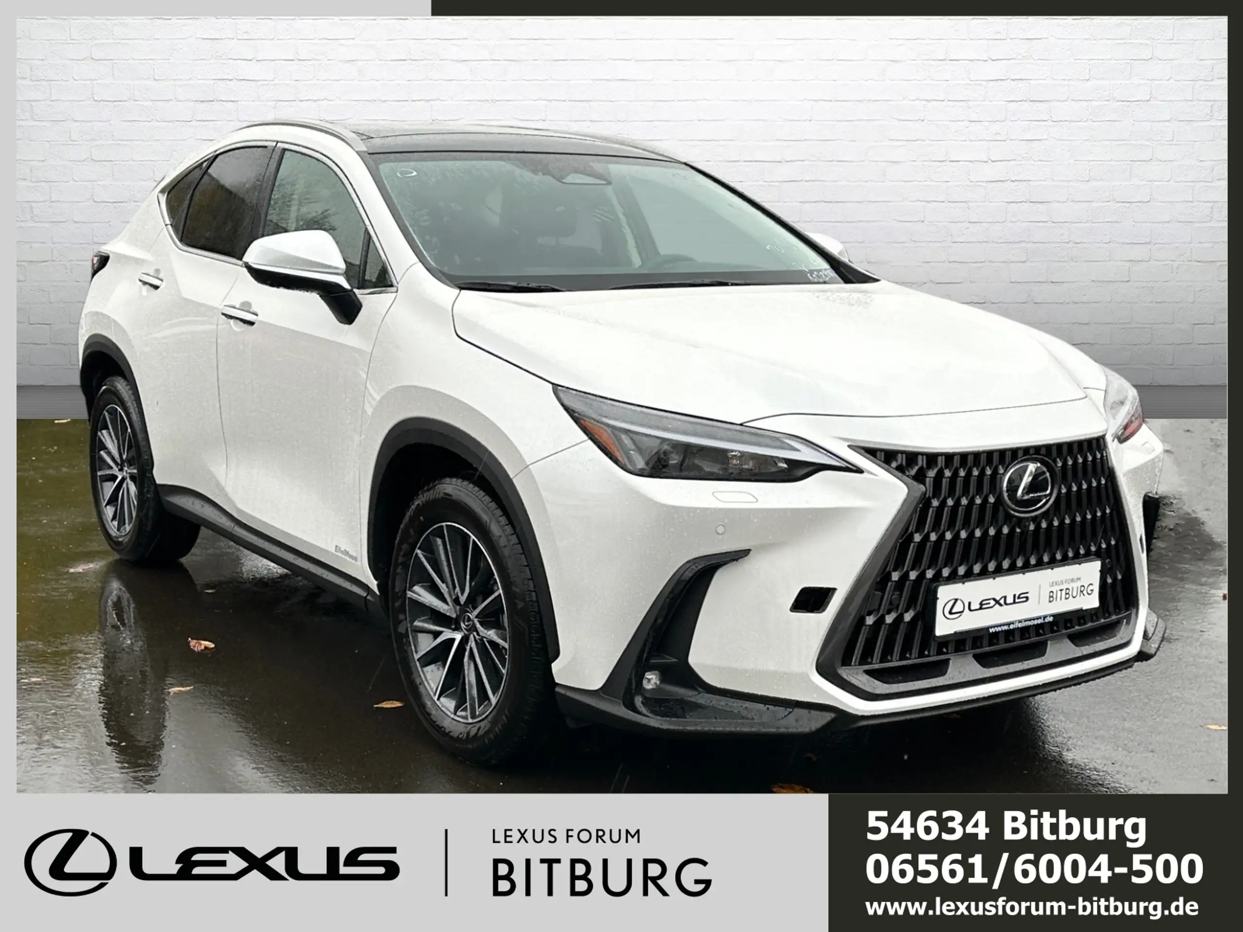 Lexus - NX 350h