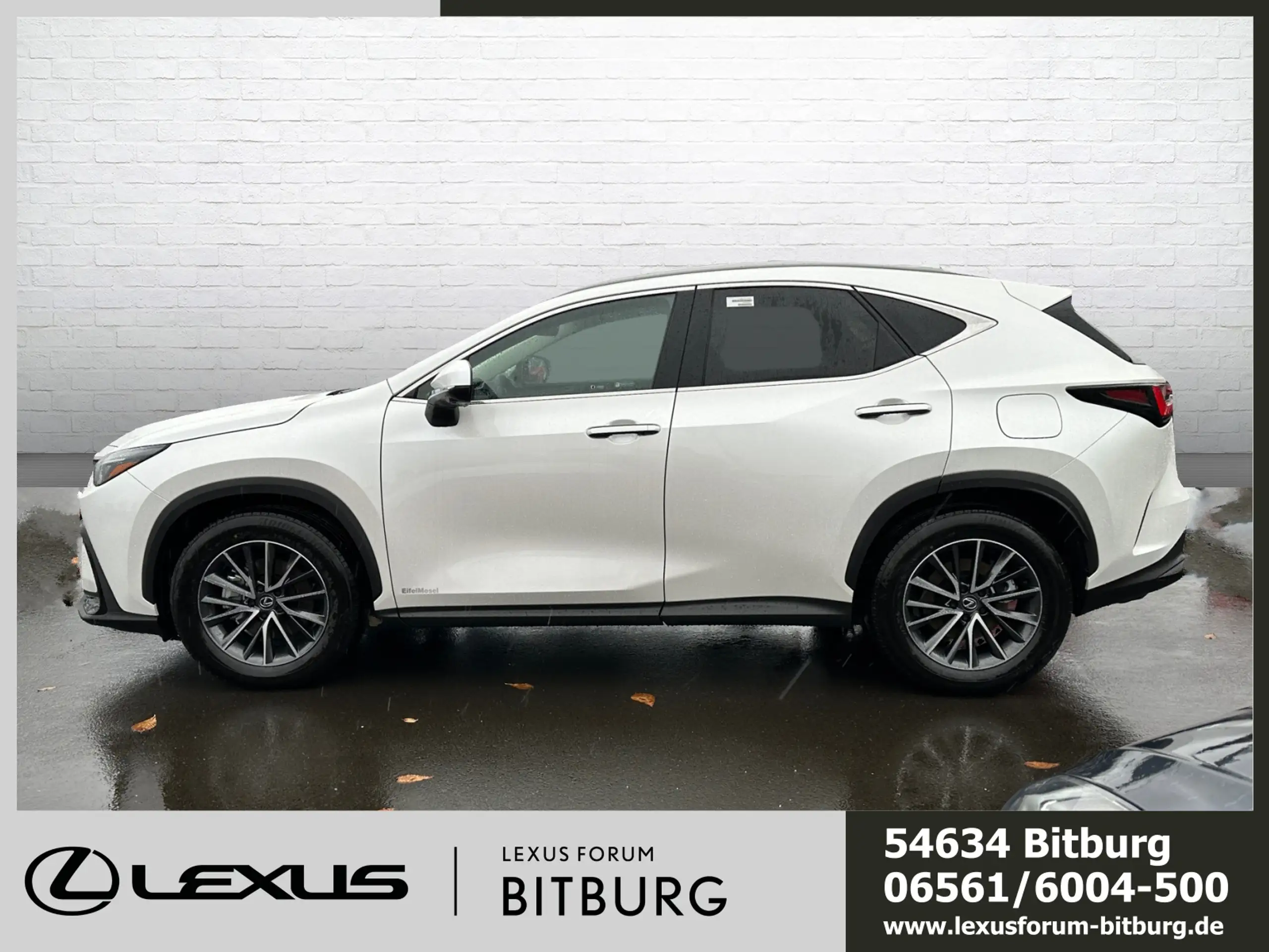 Lexus - NX 350h