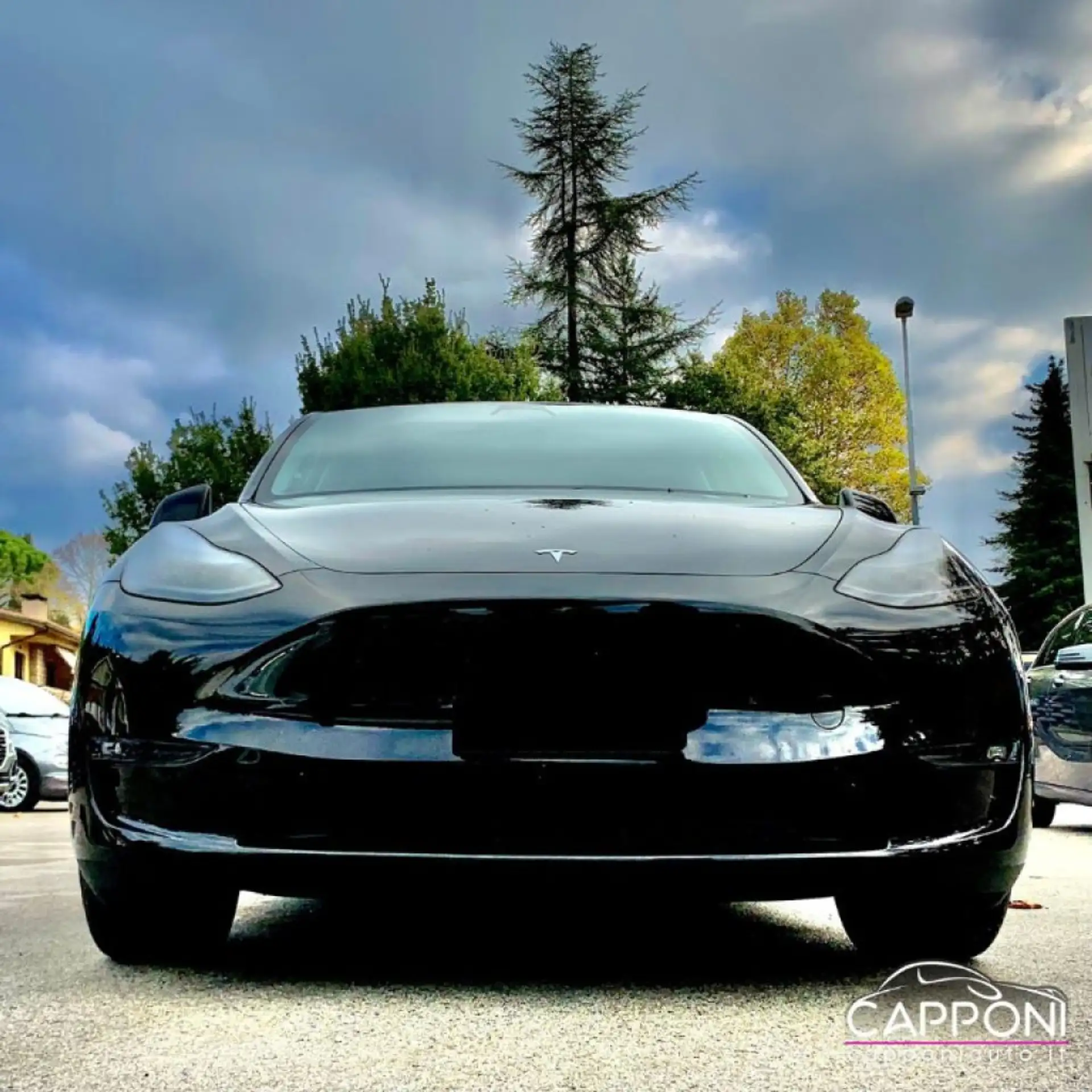 Tesla - Model Y