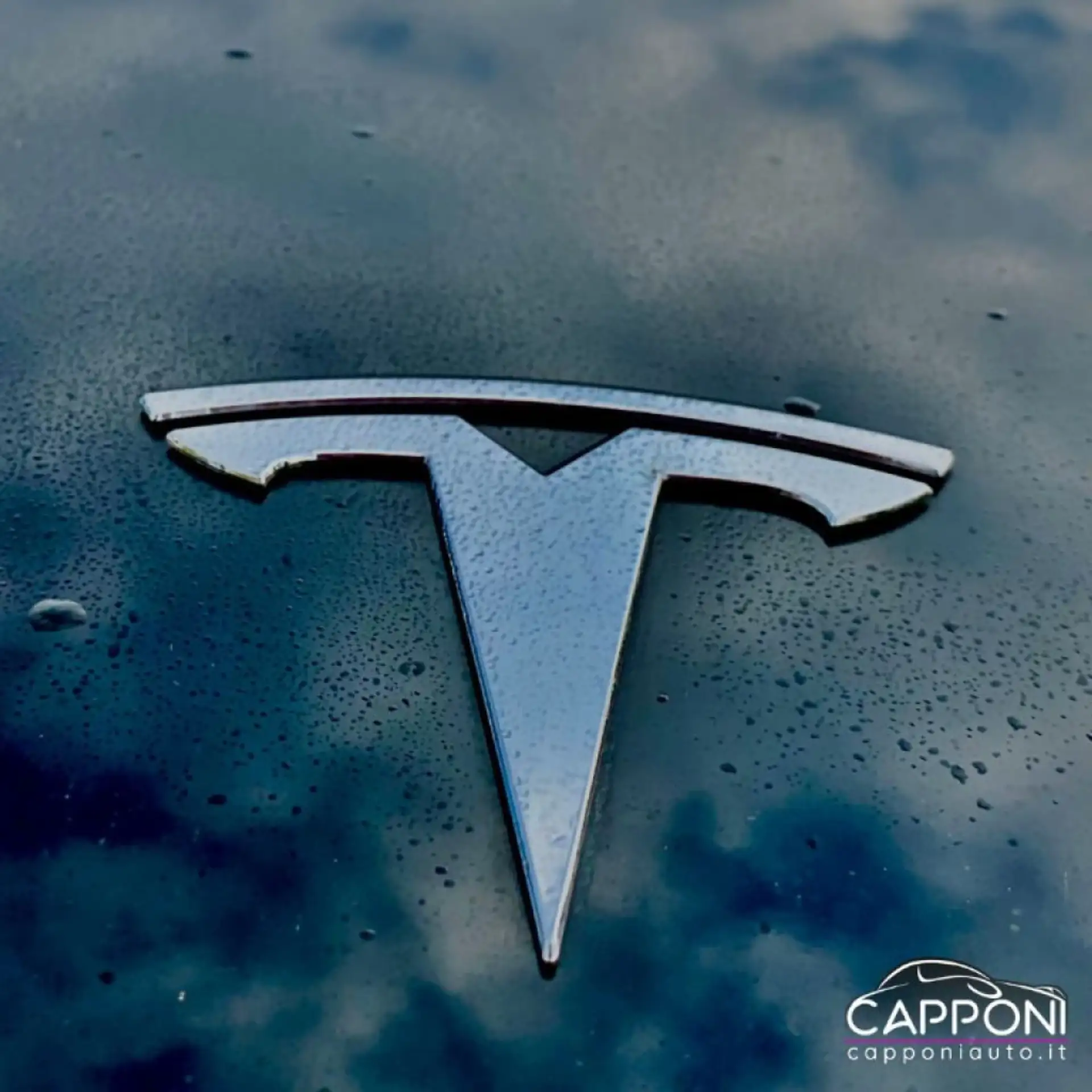 Tesla - Model Y