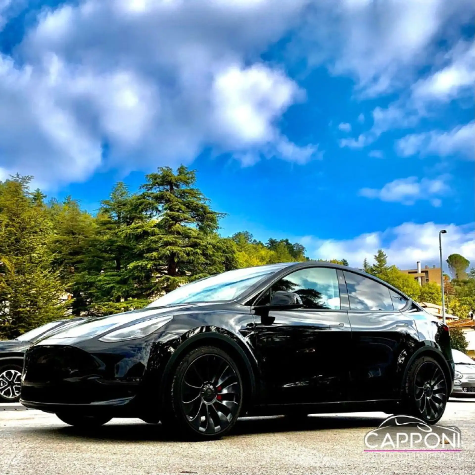 Tesla - Model Y