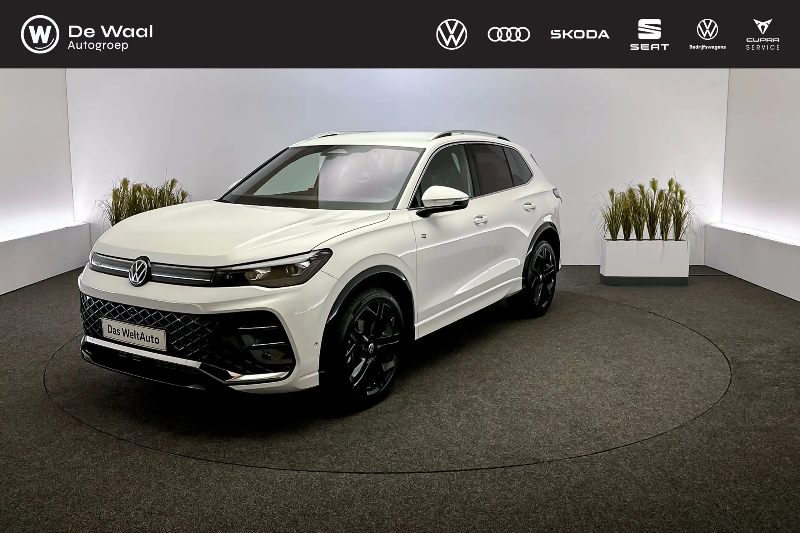 Volkswagen - Tiguan