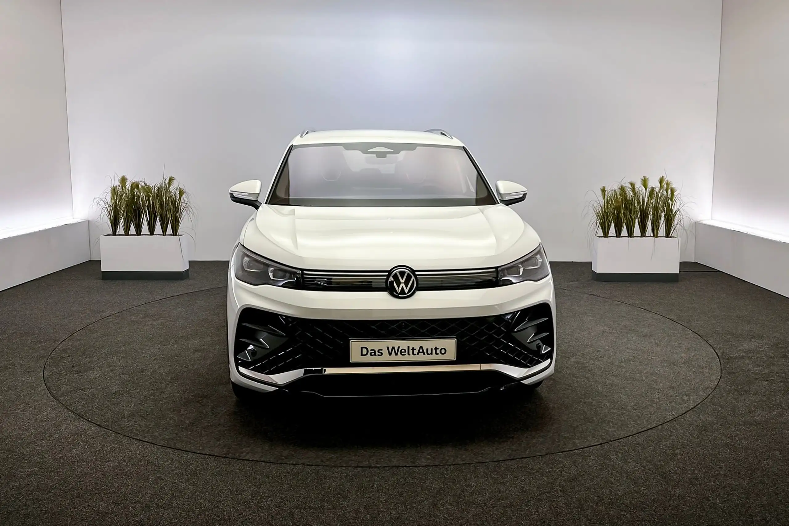 Volkswagen - Tiguan