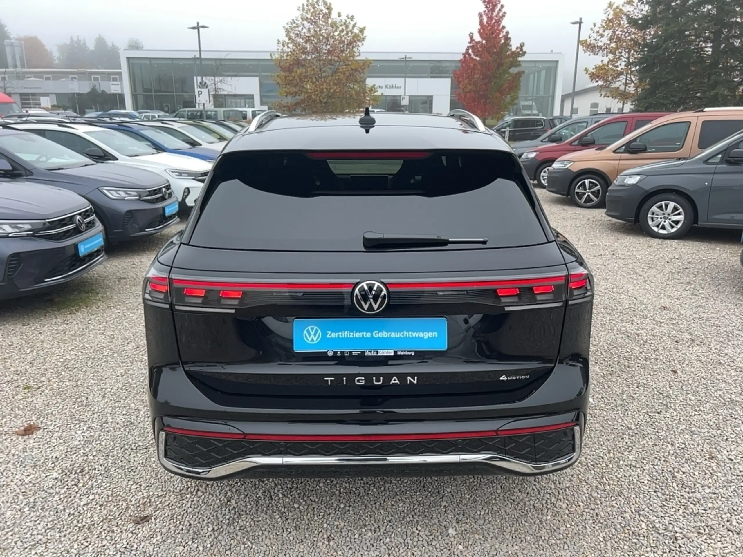 Volkswagen - Tiguan