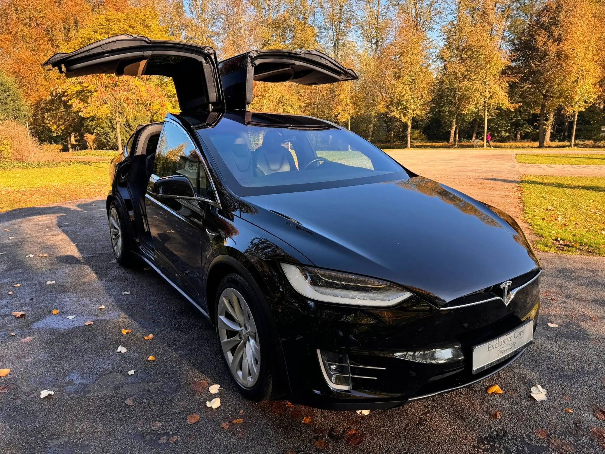 Tesla - Model X