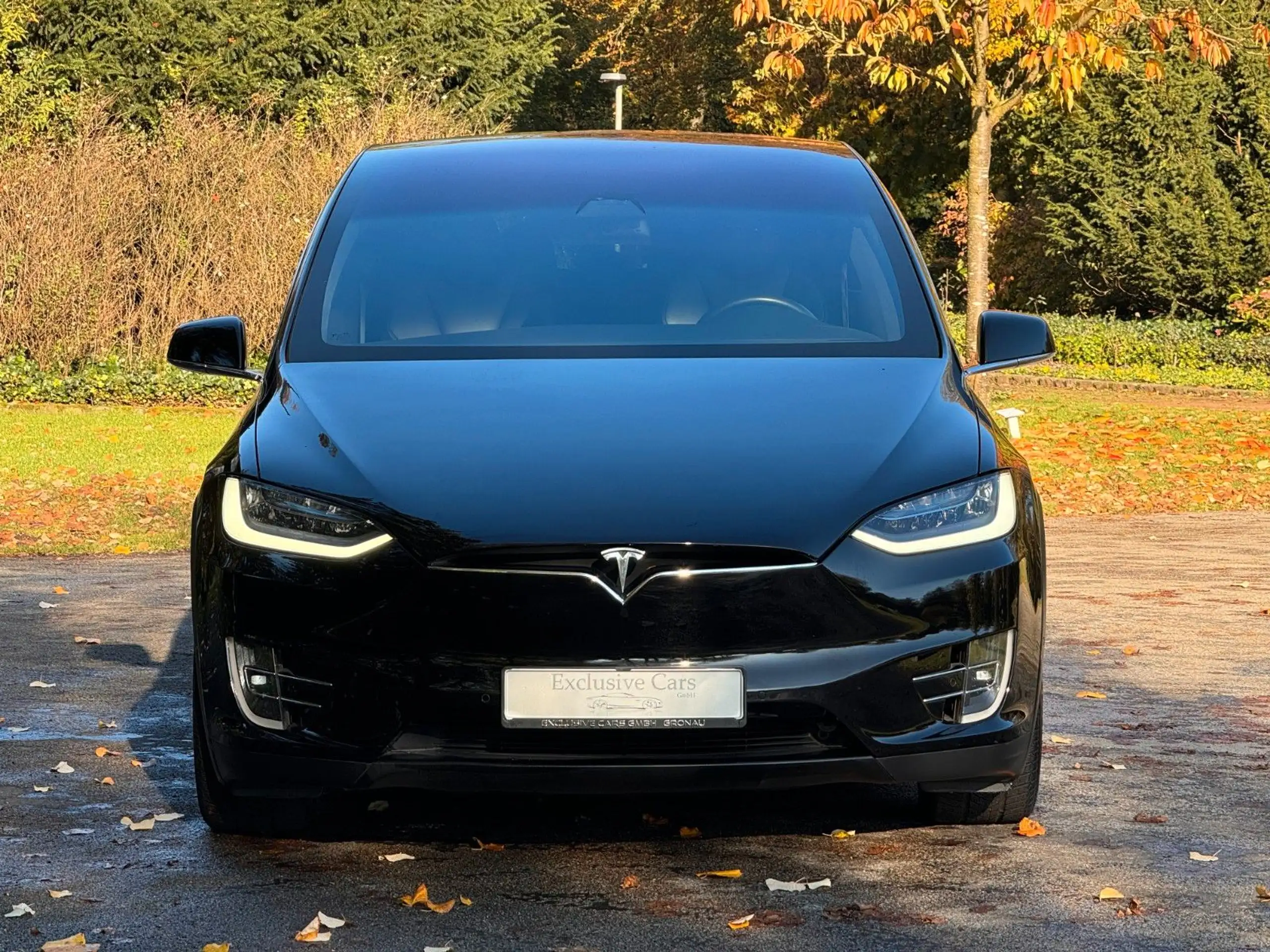 Tesla - Model X