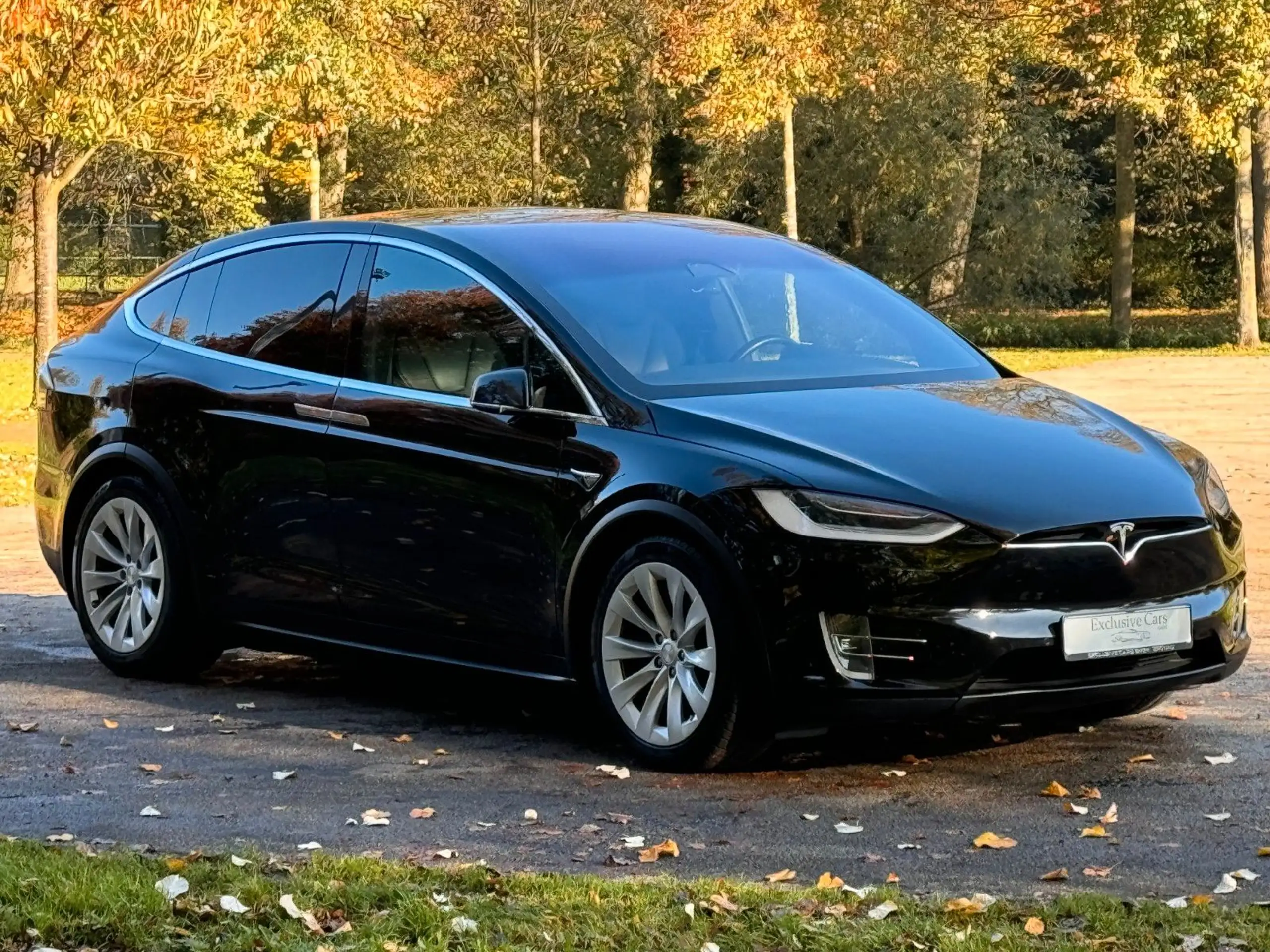 Tesla - Model X