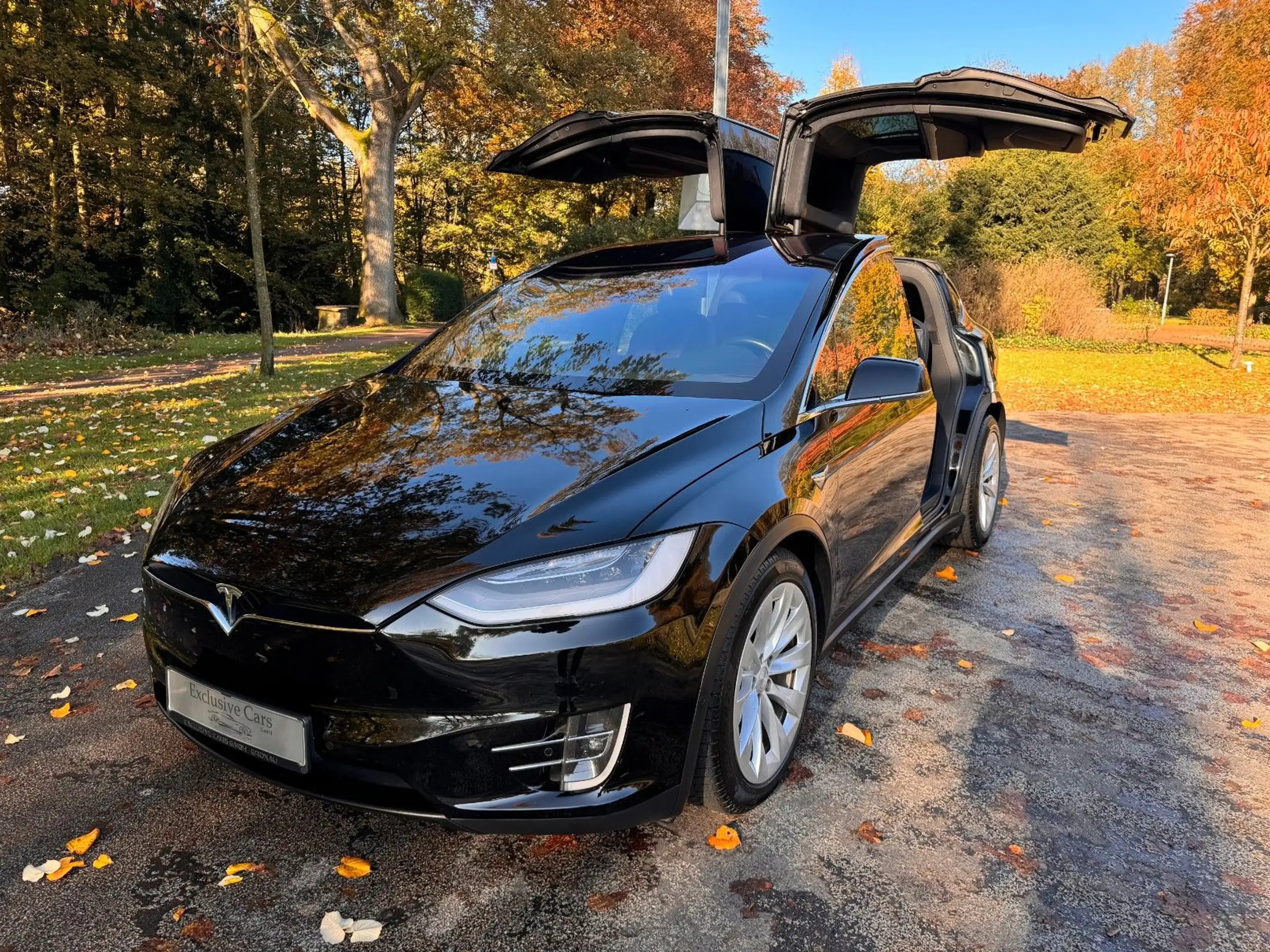 Tesla - Model X