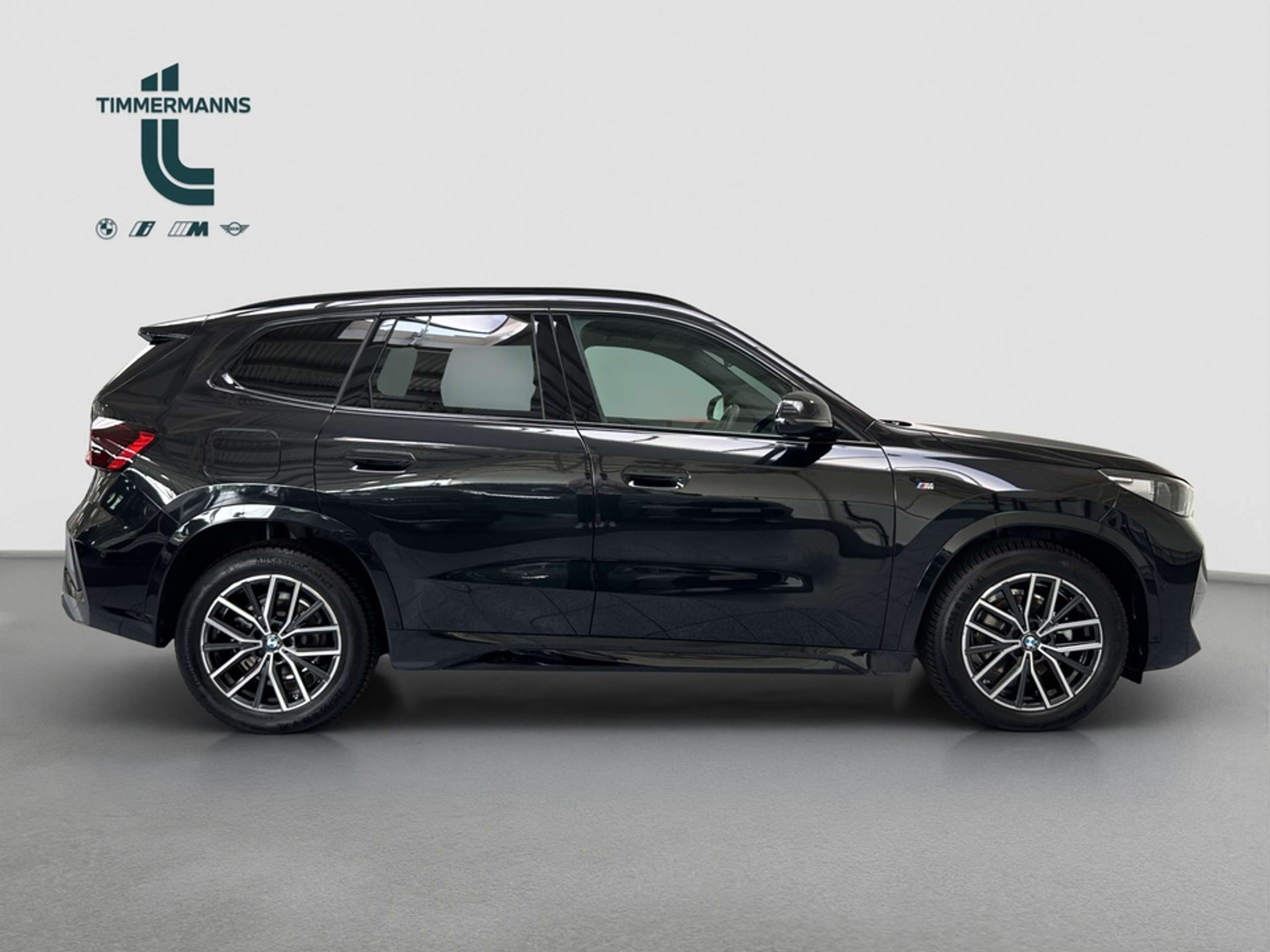 BMW - X1