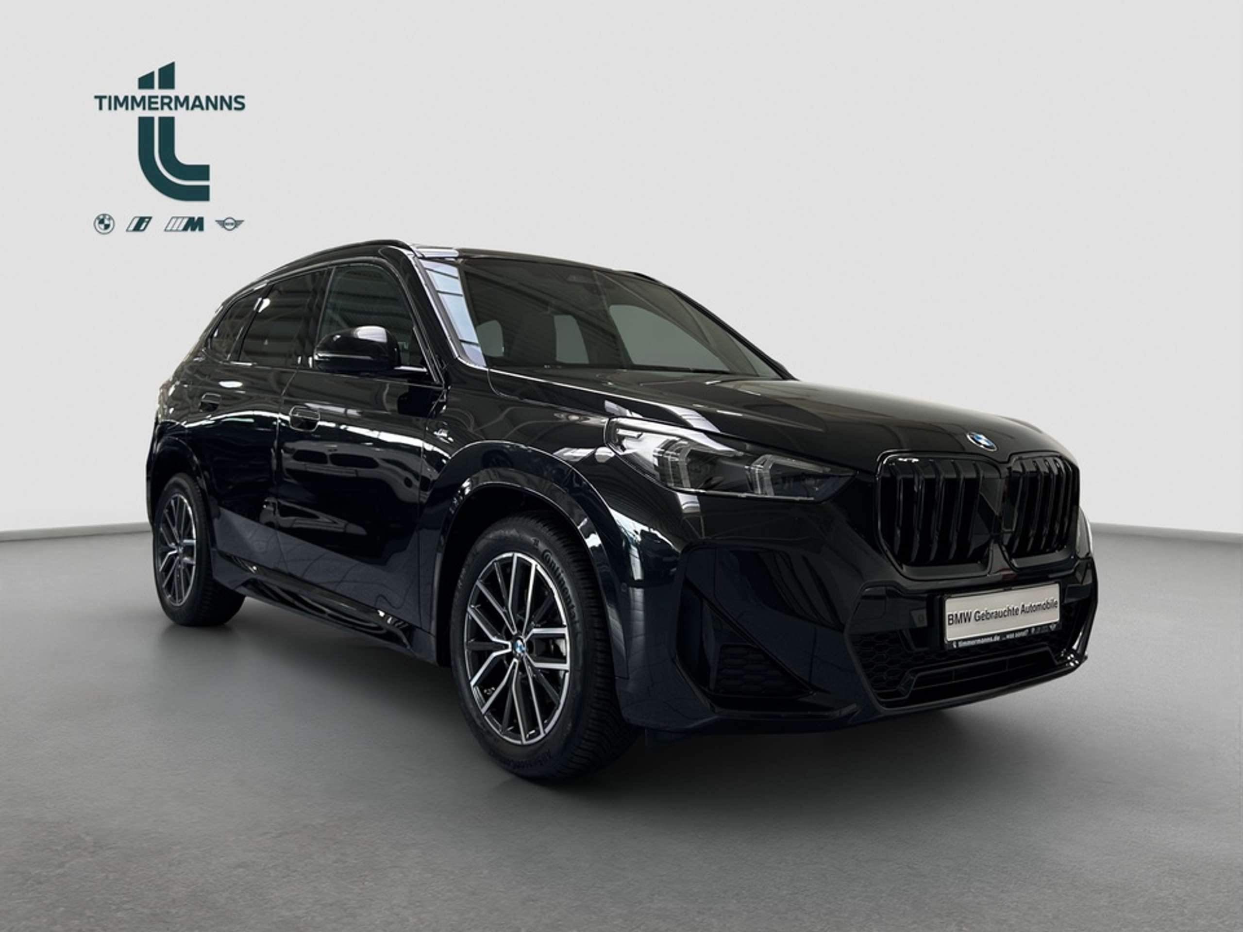 BMW - X1