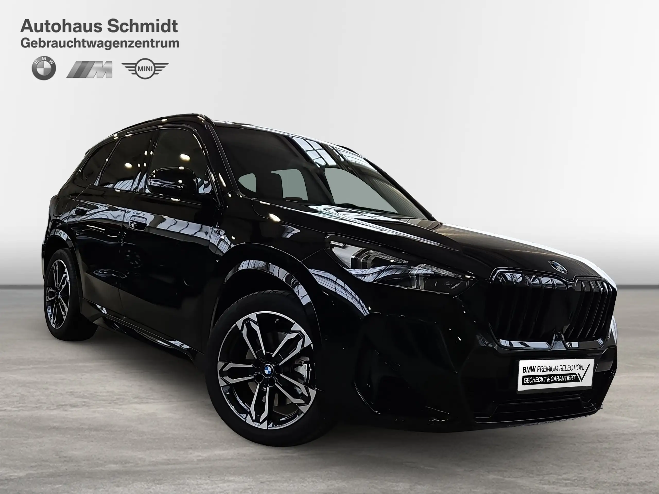 BMW - X1