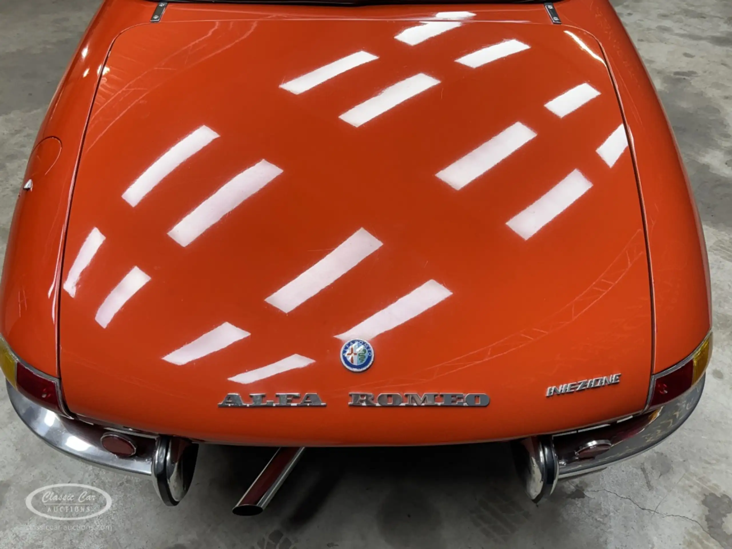 Alfa Romeo - Spider